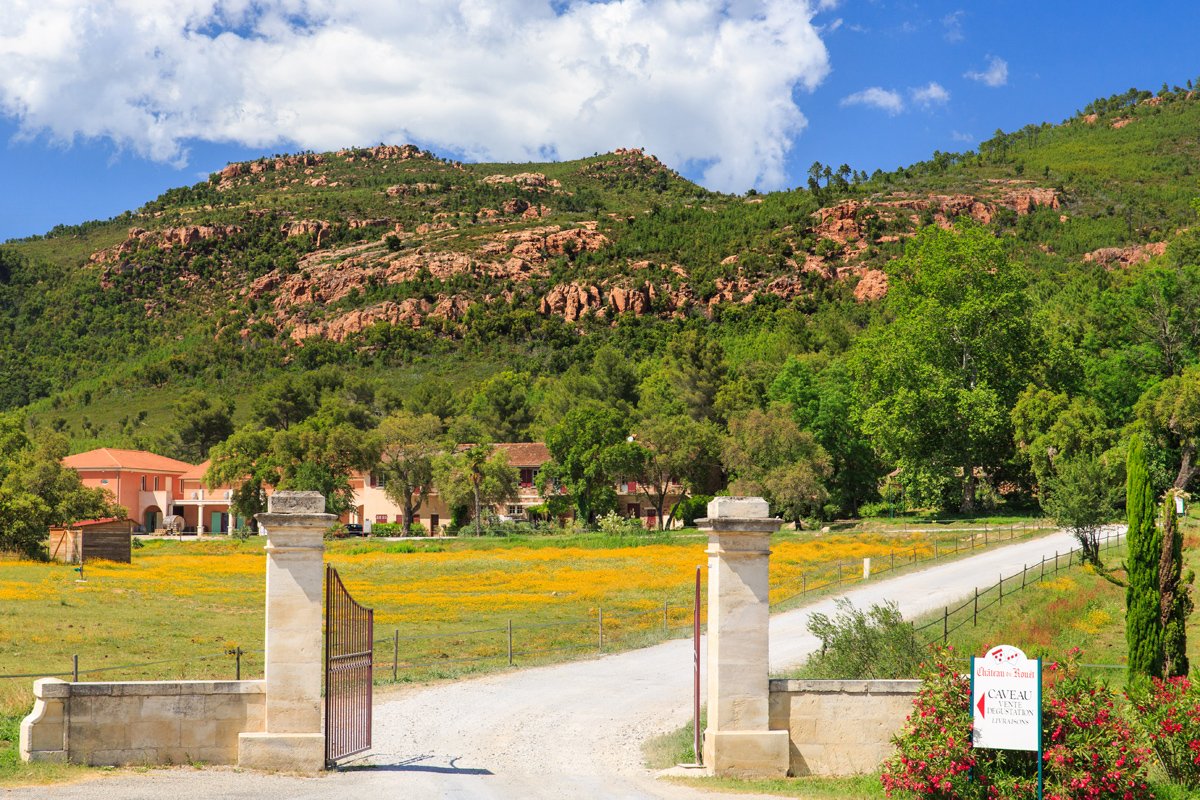 Rouet-vineyard2.jpg