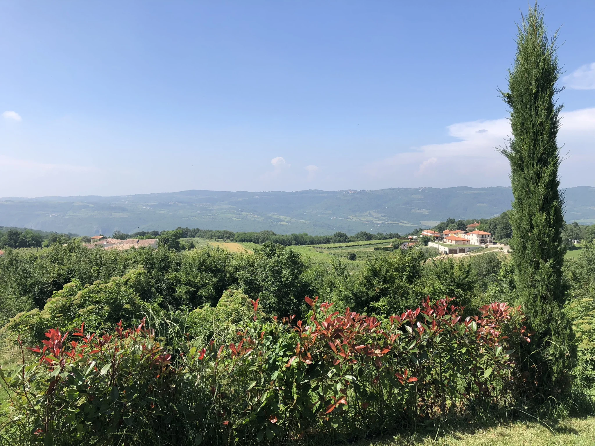 Arman Winery (Vizinada) Performance with LIOR