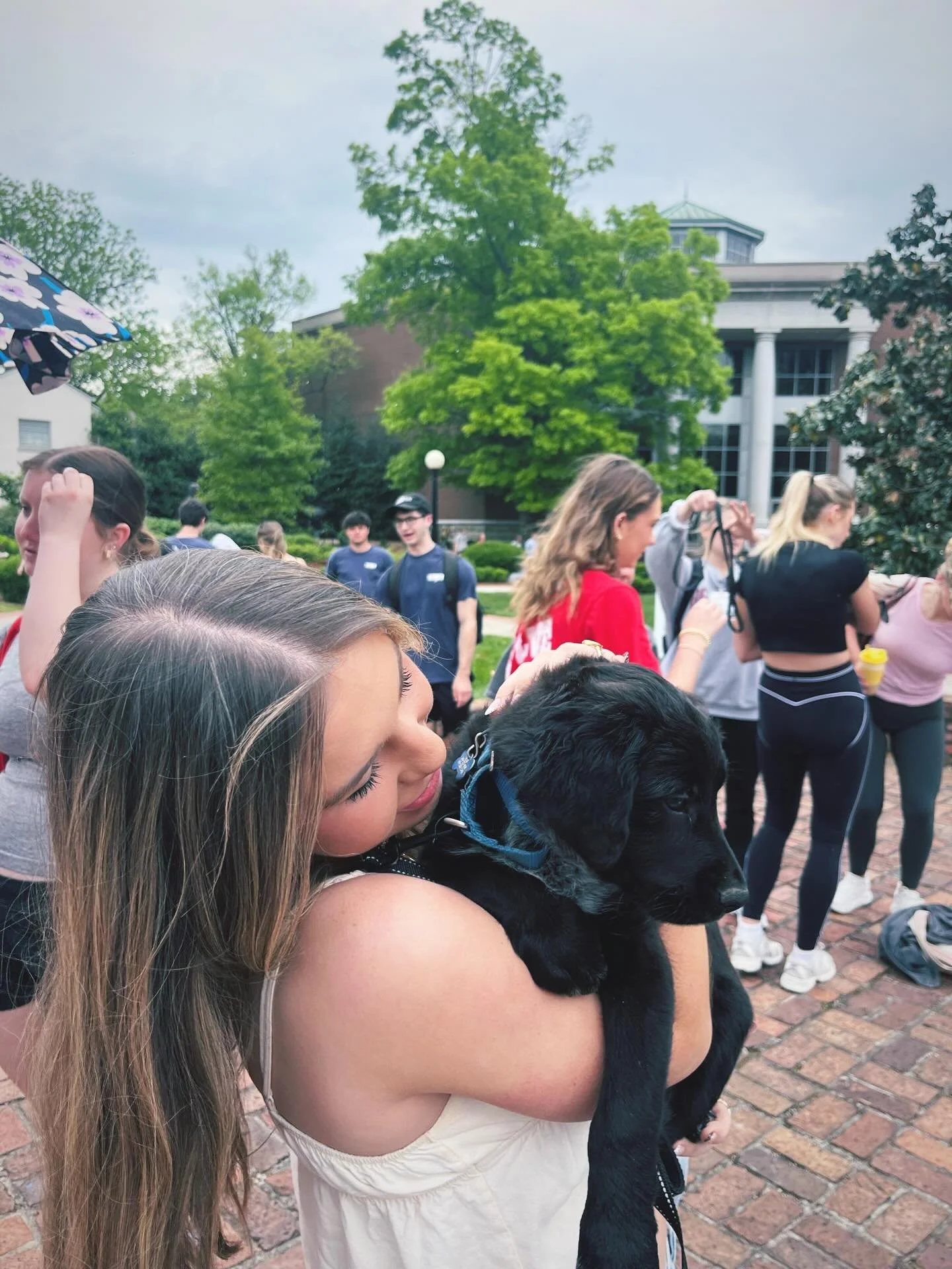 happy last week of classes!! we are super excited for tomorrows LDOC because we are being joined by @bigfluffydogrescue !!! not only that, but @belmonttheta is hosting a fabulous flower market with @bartacolife and a ton of other amazing vendors!! to