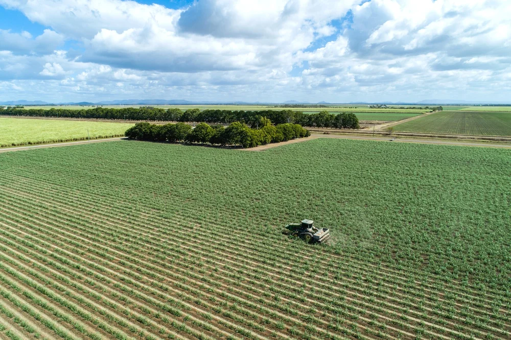 Industry — Australian Cane Farms