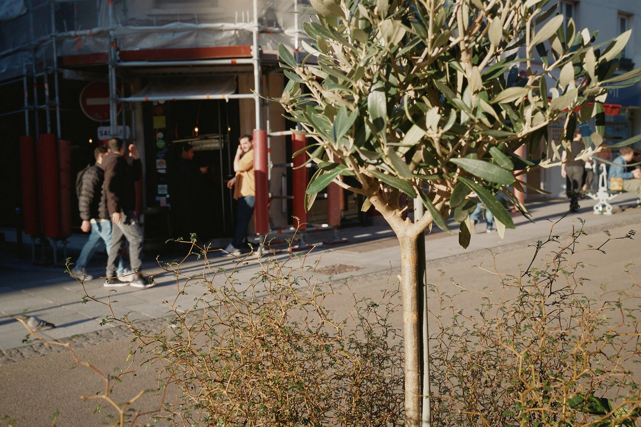 030226_DSF6557.jpg