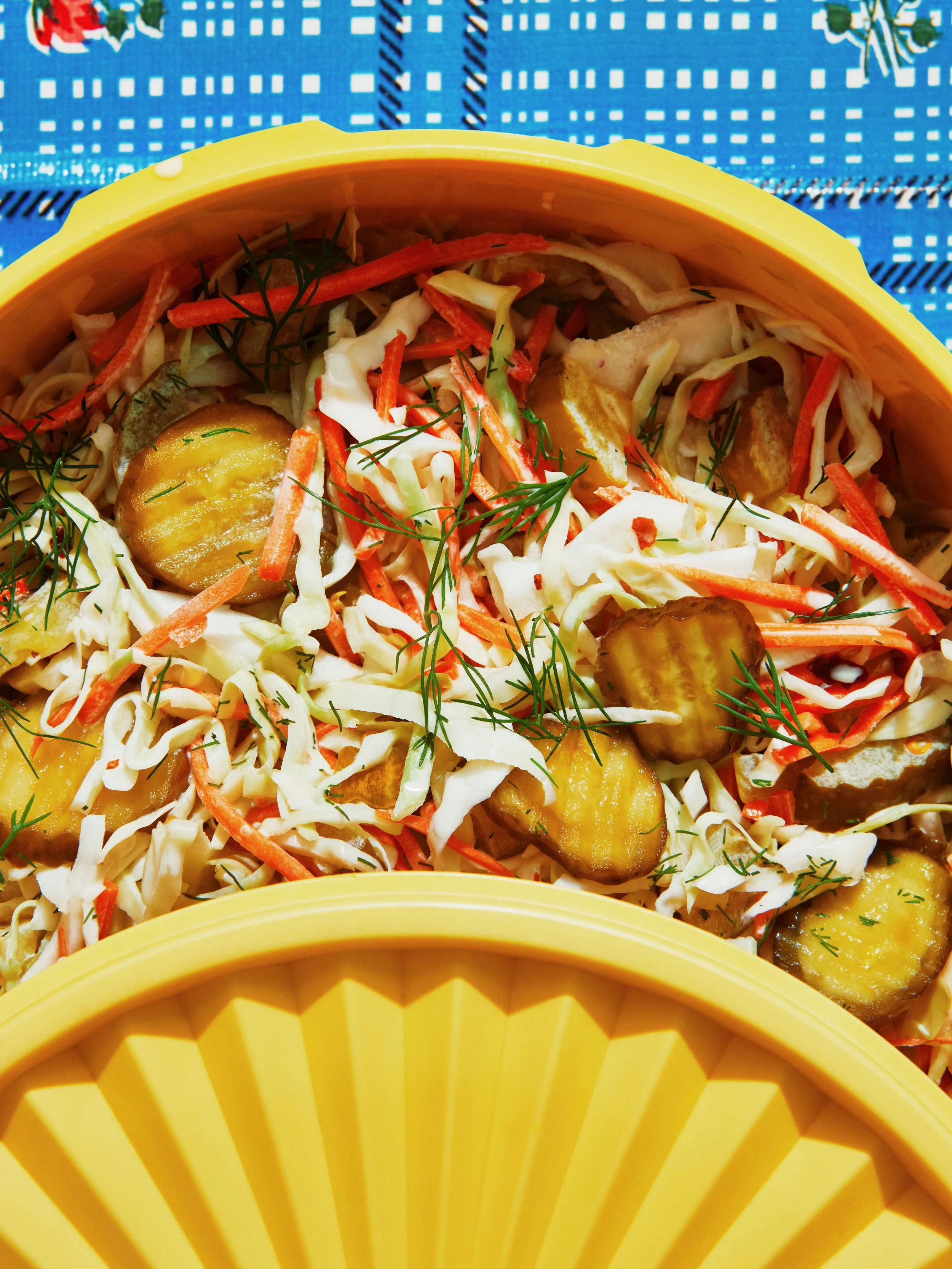 pickle-coleslaw_IG_V2_060926_5418_VOG_final.jpg