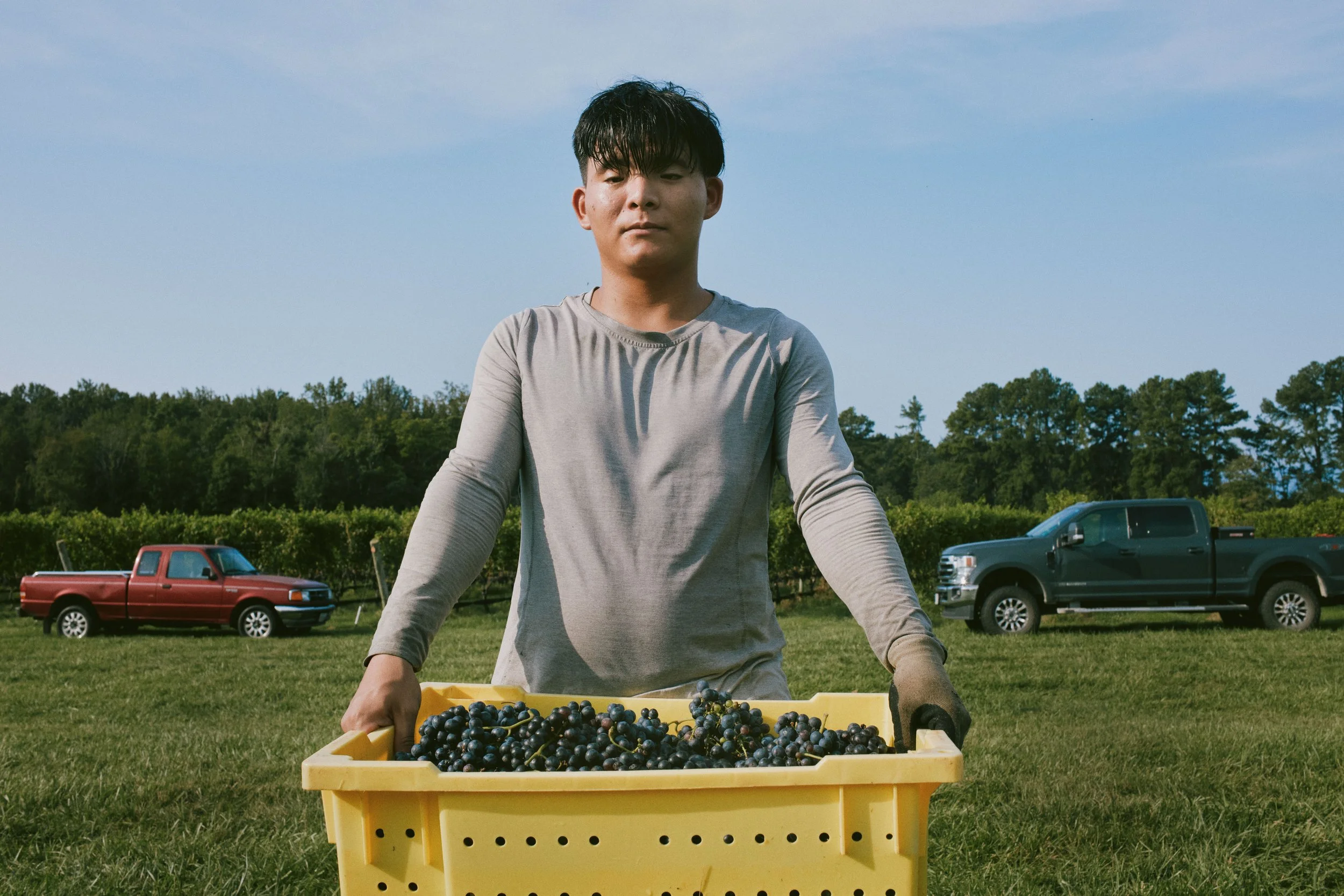 ba1125-king-family-vineyards-acam_081725_Y3A3221_VOG_final.jpg