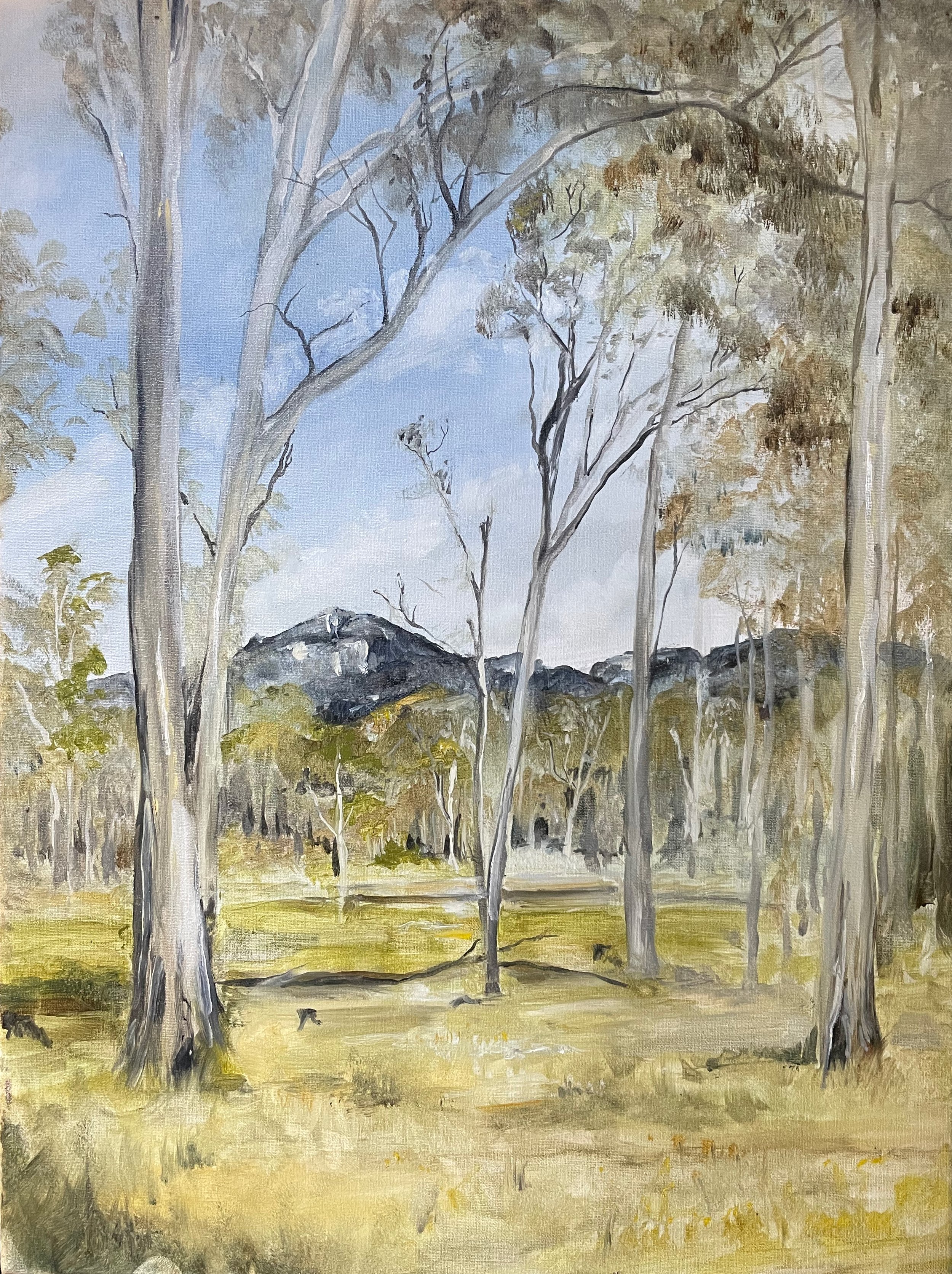 the Grampians 1