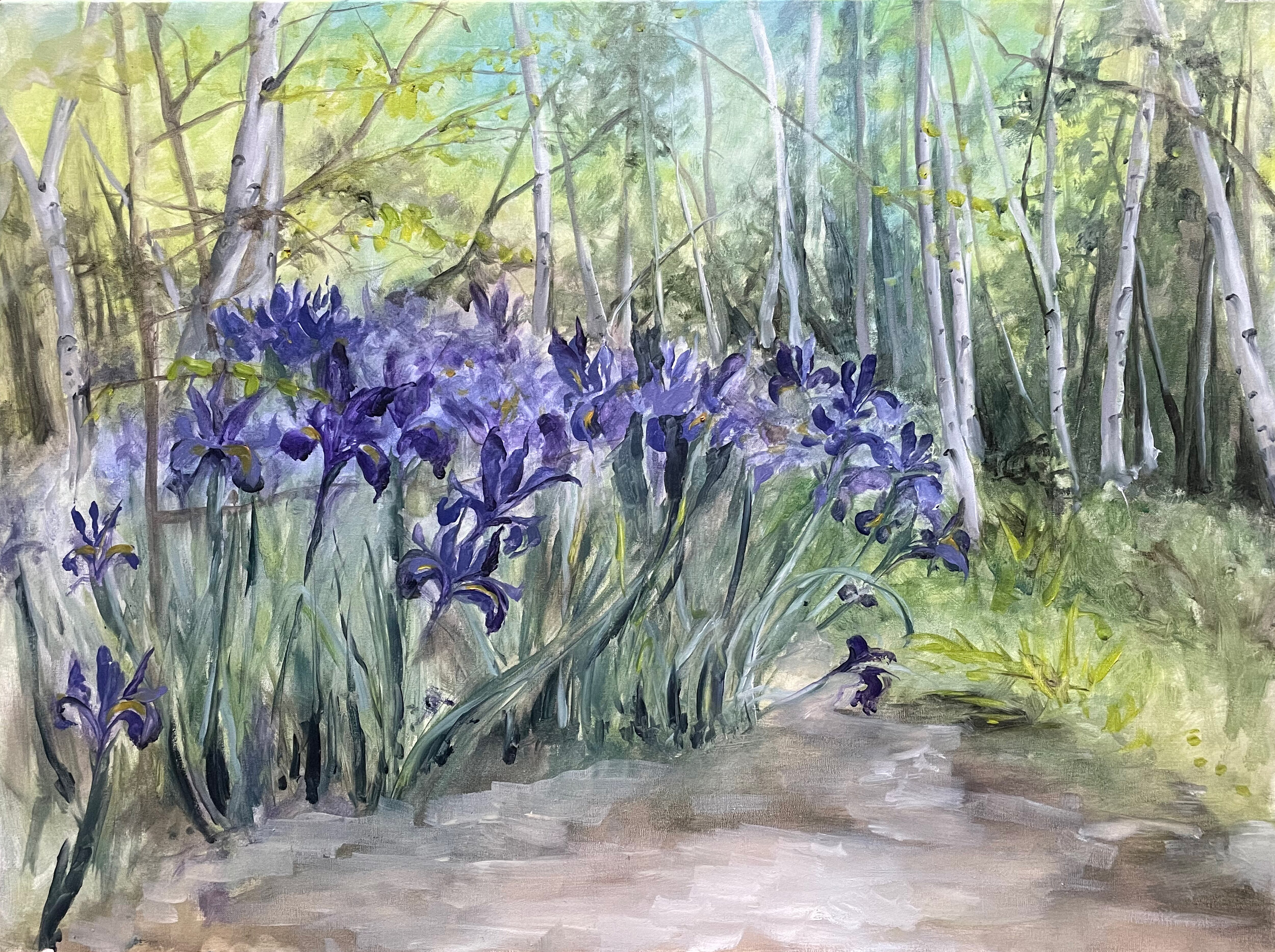 birch forrest and iris' - Alowyn gardens