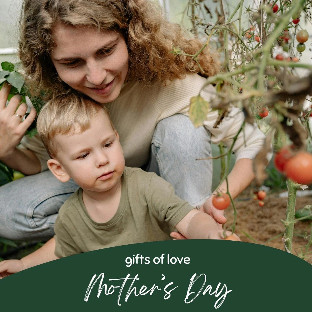 It's that special time of year when we invite you to celebrate the mothers, guardians, sisters, aunts, grandmothers or mother-figures in your life. Our social enterprise, Cana Farm, offers handmade and natural products from jams to candles. Our team 