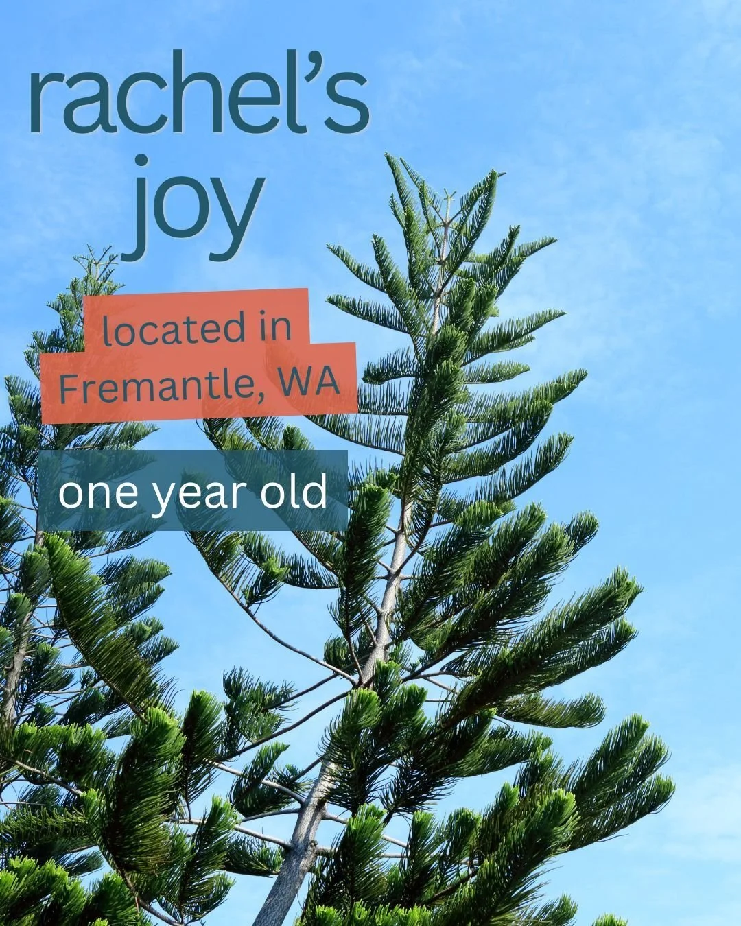 Rachel's Joy in Palmyra has been open for just over a year. It's a three-bedroom house for women, ready to make the changes in their lives and to find their feet again, run by Mauz and the Cana WA team.

There is art therapy on site twice a month and