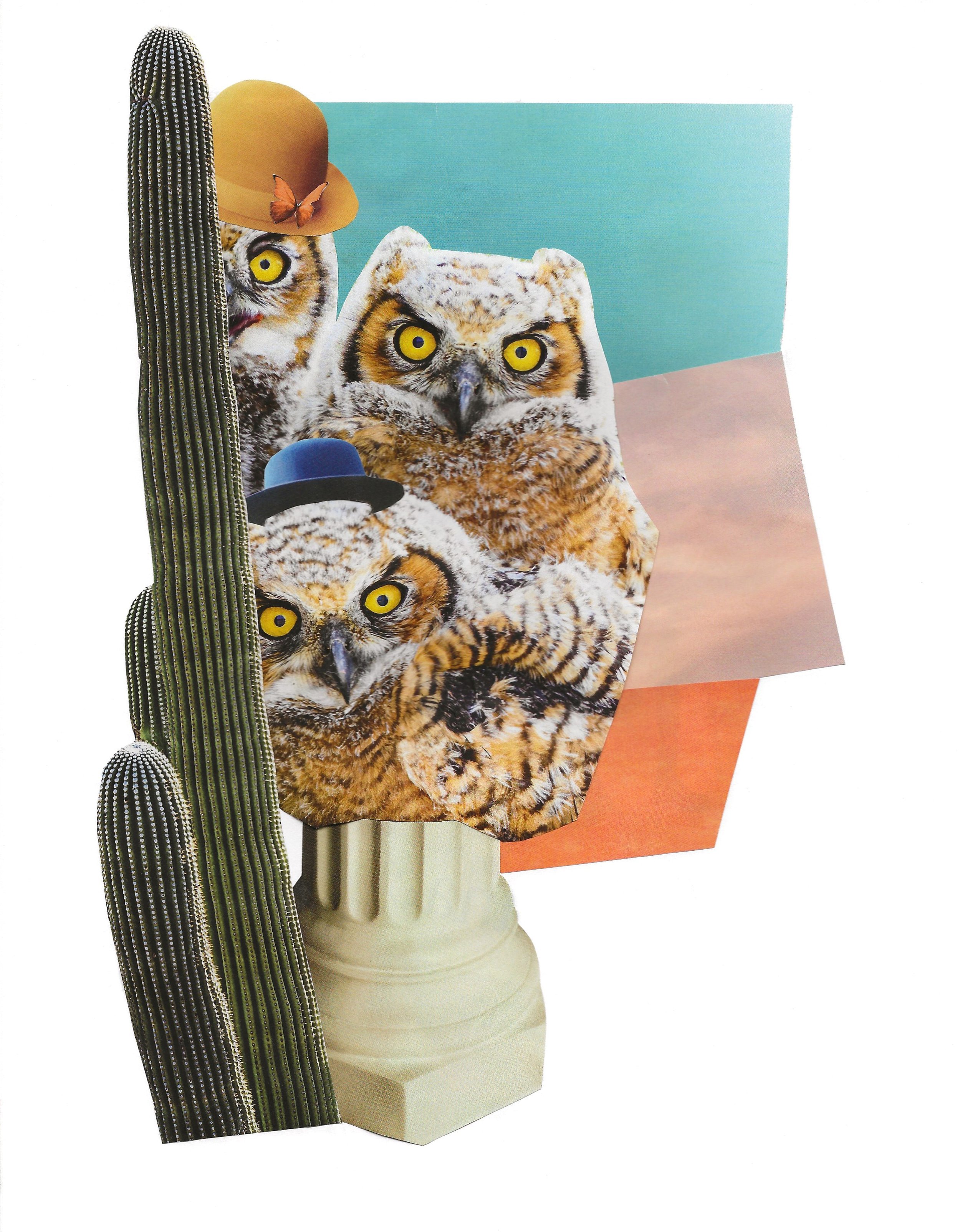 Collage_Owls_UP.jpg