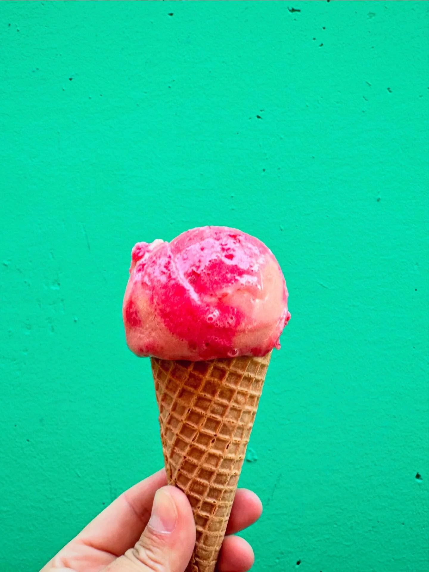 Yesterday was our final day @ecology.center South Berkeley Farmers market until the spring. 
We started in August after months of going back and forth about joining. I wish we had joined sooner. 
I had so many reasons why I needed more time to figure