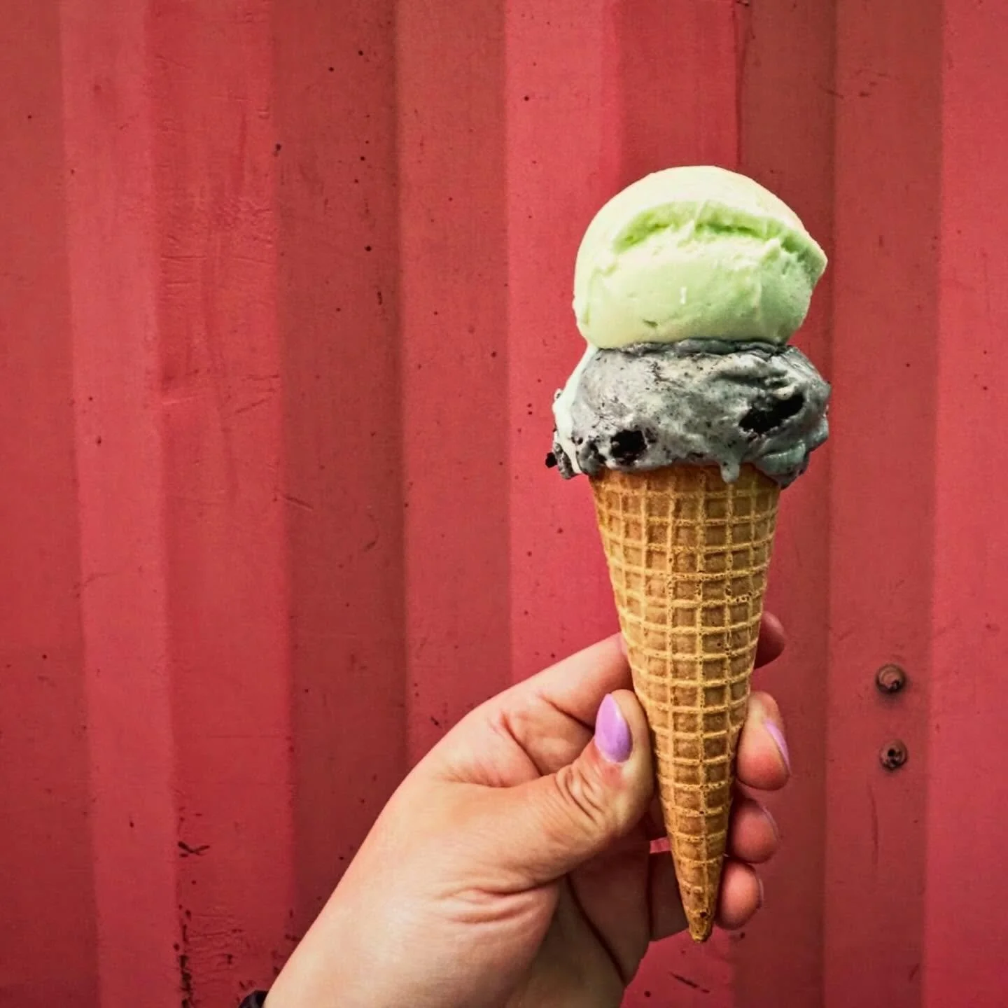 @tacososcar makes for the best ice cream pics. 

Tonight we&rsquo;re doing scoops of the pandan coconut made from the liquid gold, pandan extract from @liondancecafe + black Sesame Oreo, CYs fav. @thejapanesepantry BS only. Both are VEGAN. 
Limited r