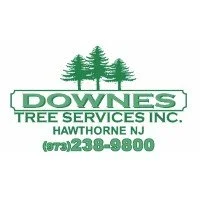 Downes Tree Service