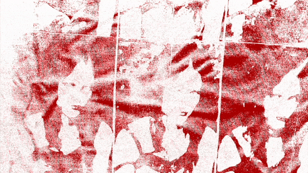 websitevisual2-ezgif.com-optimize (1).gif