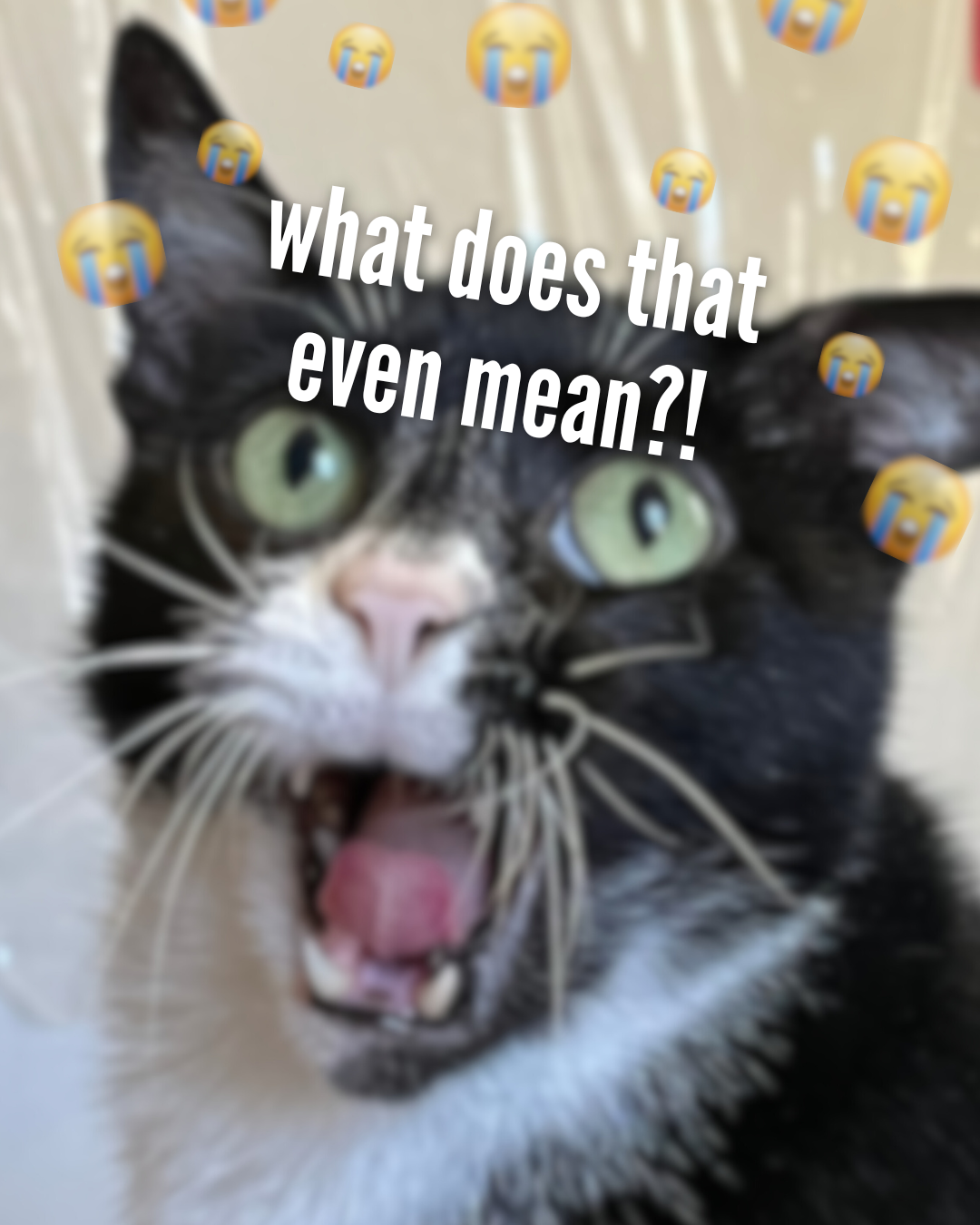 2 2.png