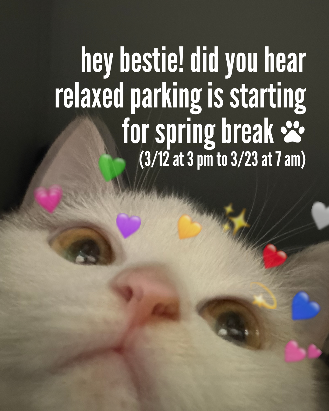 1 2.png