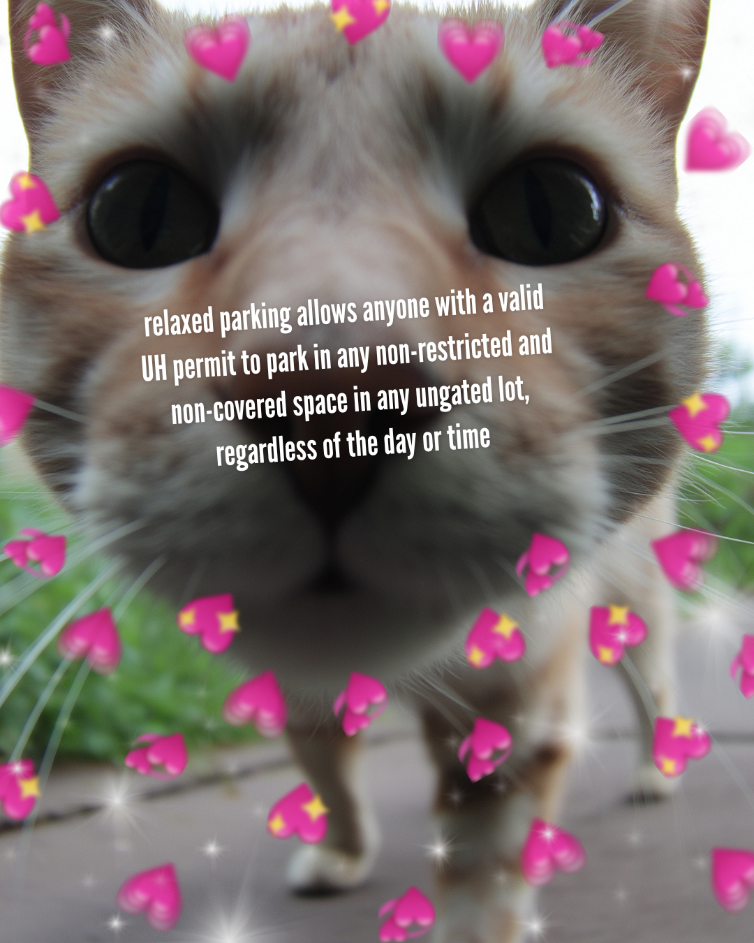 3 2.png