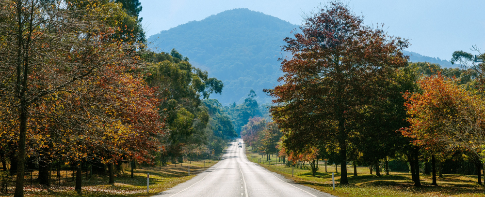 Our Founders Resilient Futures