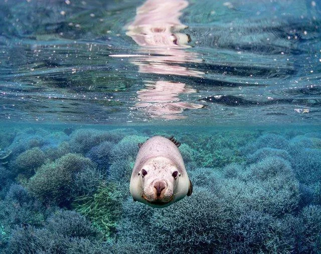 Hello 2026! 👋
Here's cheers to a happy and healthy year ✨

Image: @colby_james