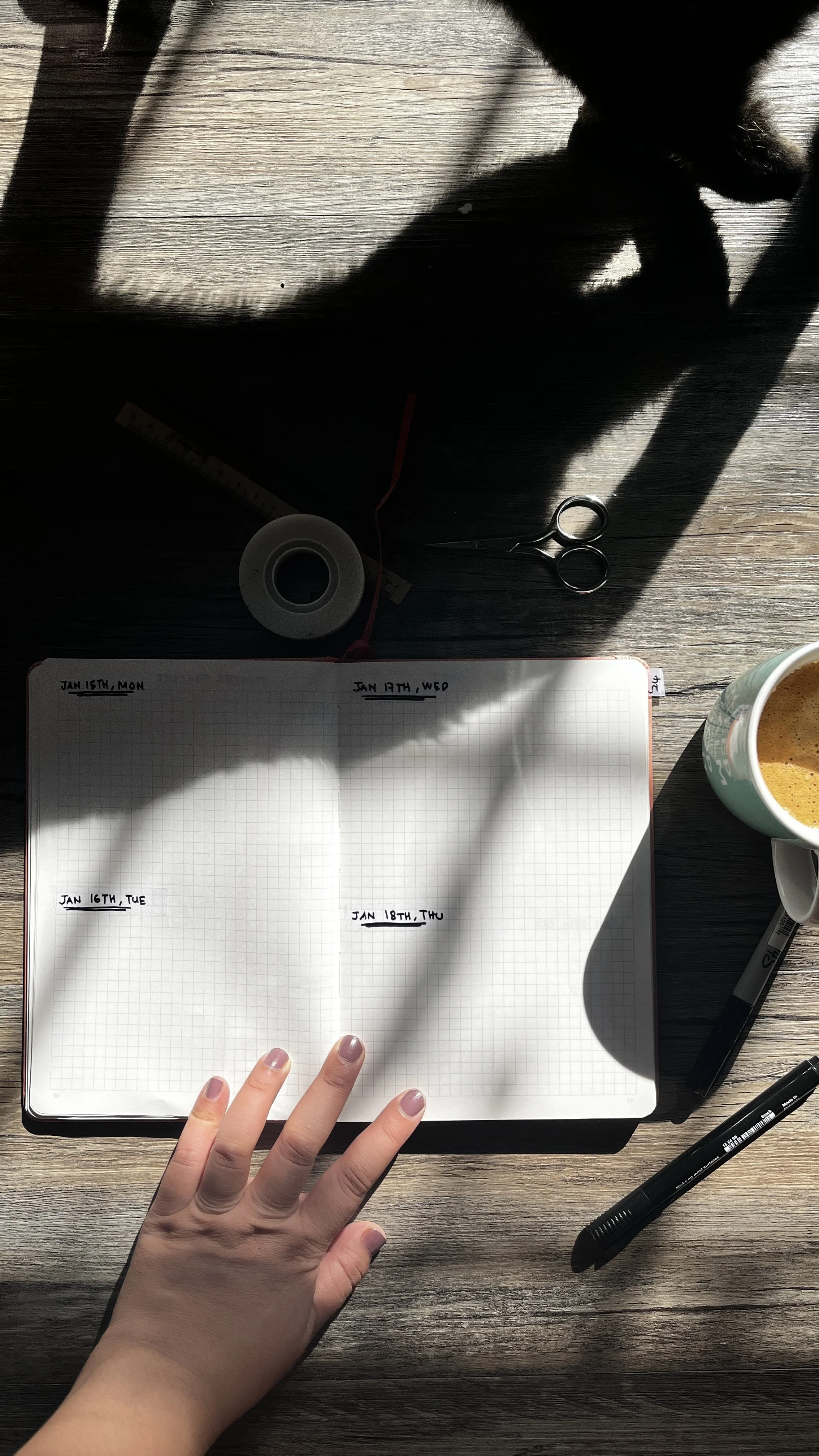 Weekly &amp; Daily Spread