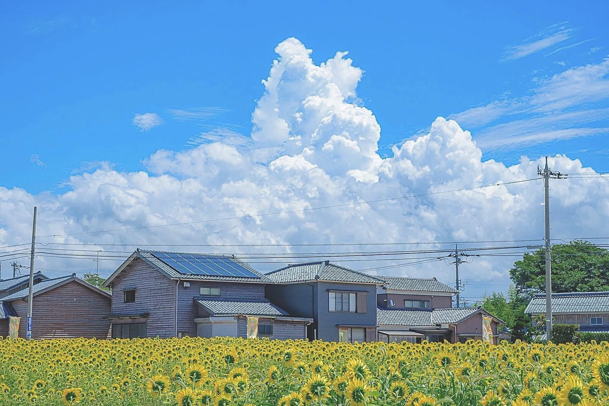 Blue sky on a summer in Japan