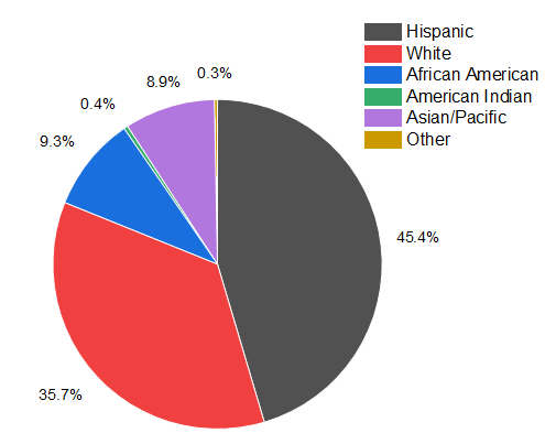 Pie chart (Copy)