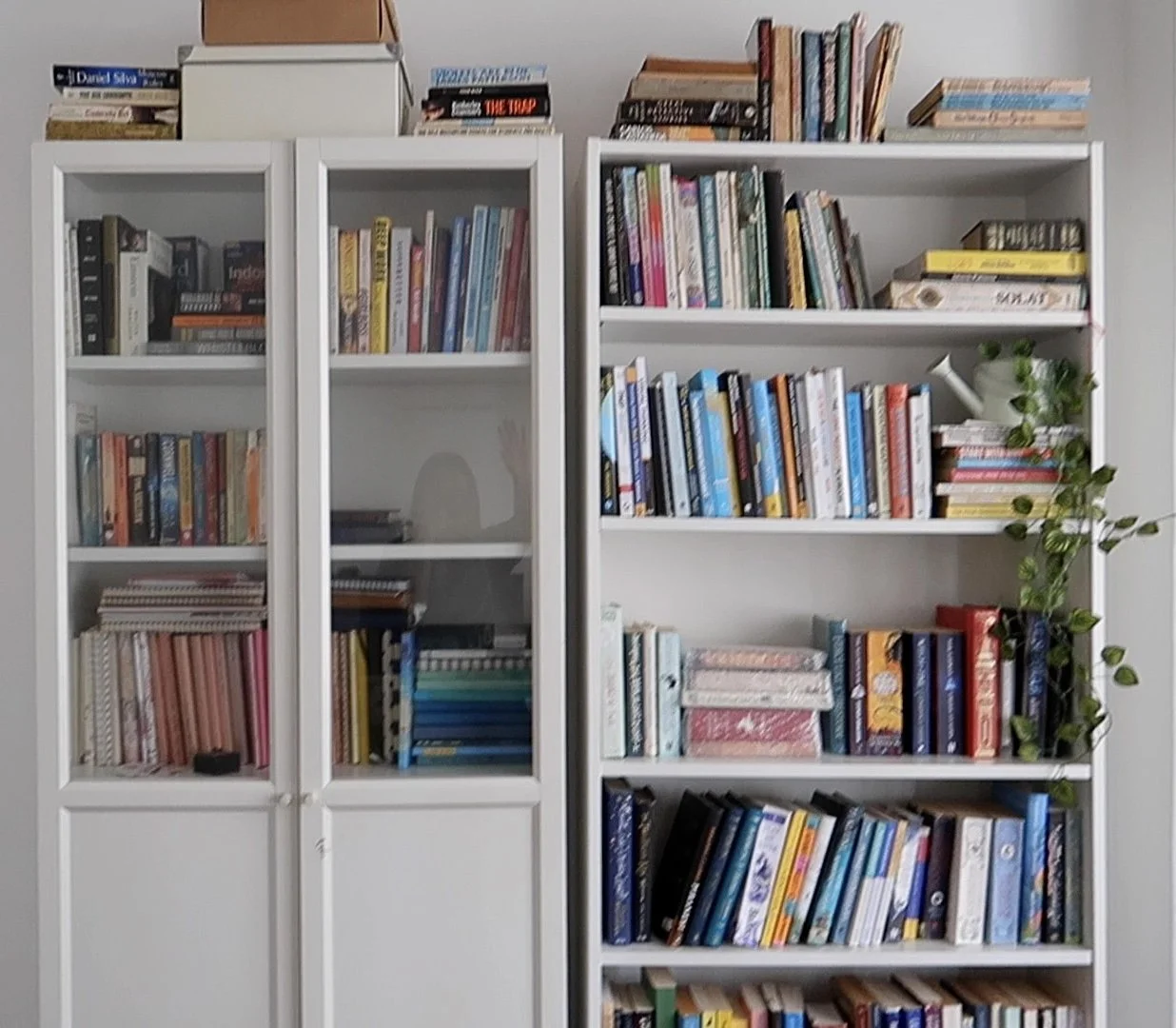Shelfie 2.jpg