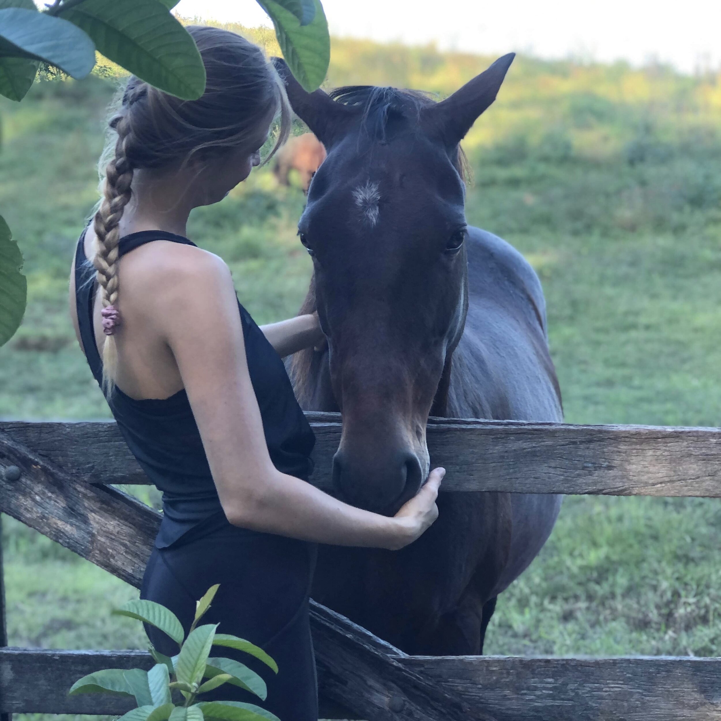 Breathwork meditation cacao ceremony mindfulness Love Connection loving kindness woman’s circle sacred sisters one with nature conscious Connections horse lover nature lover 654.jpg