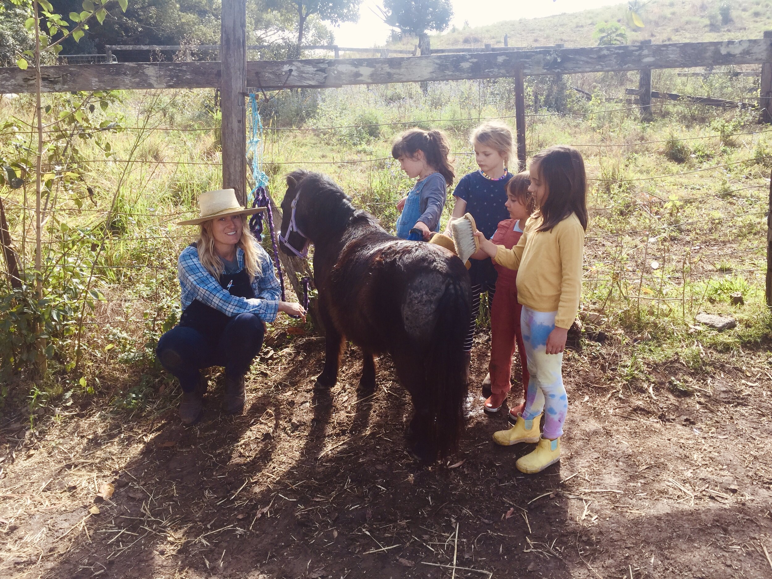 Breathwork meditation cacao ceremony mindfulness Love Connection loving kindness woman’s circle sacred sisters one with nature conscious Connections horse lover nature lover 667654.jpg