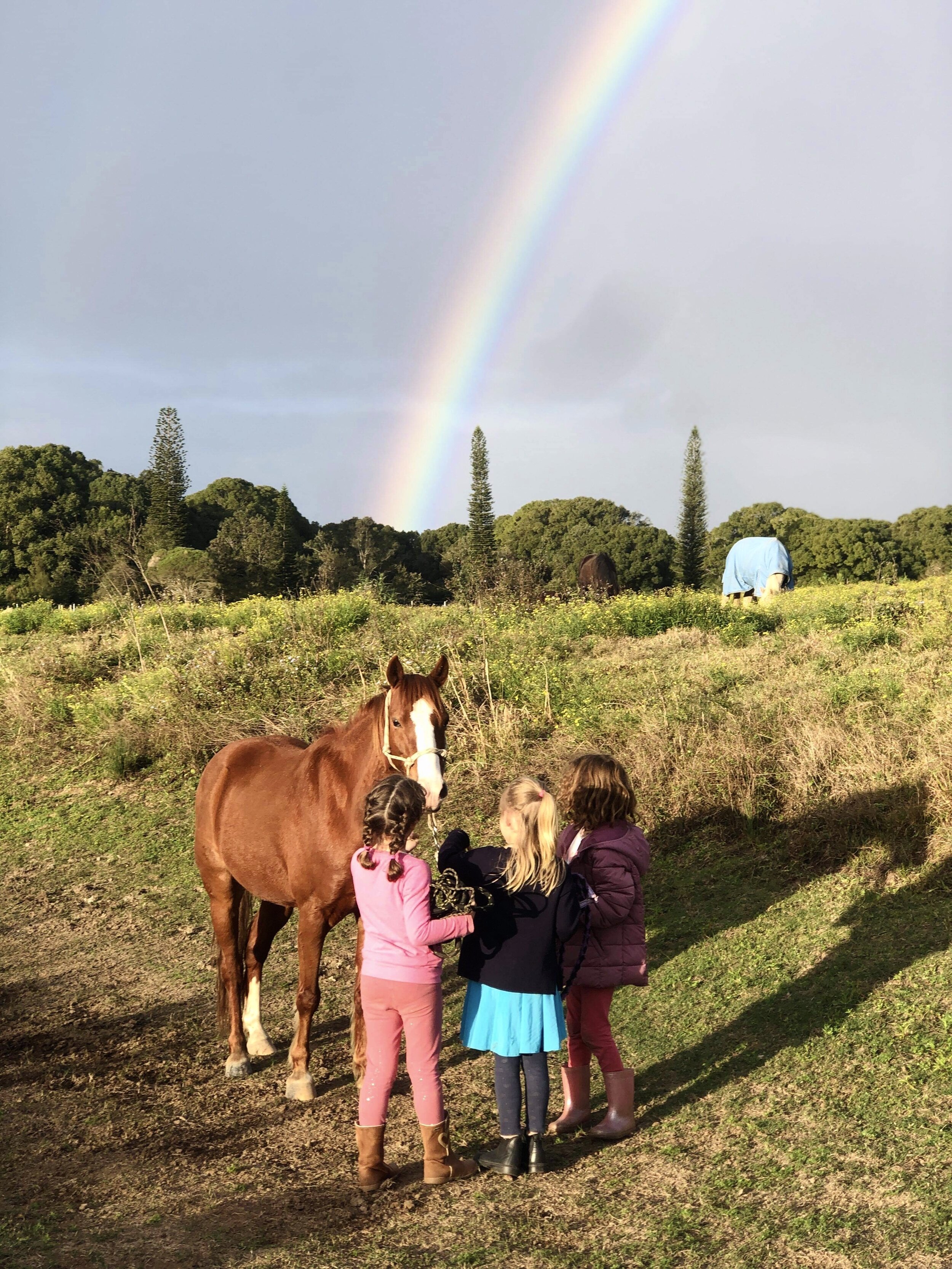 Breathwork meditation cacao ceremony mindfulness Love Connection loving kindness woman’s circle sacred sisters one with nature conscious Connections horse lover nature lover 5549987.jpg