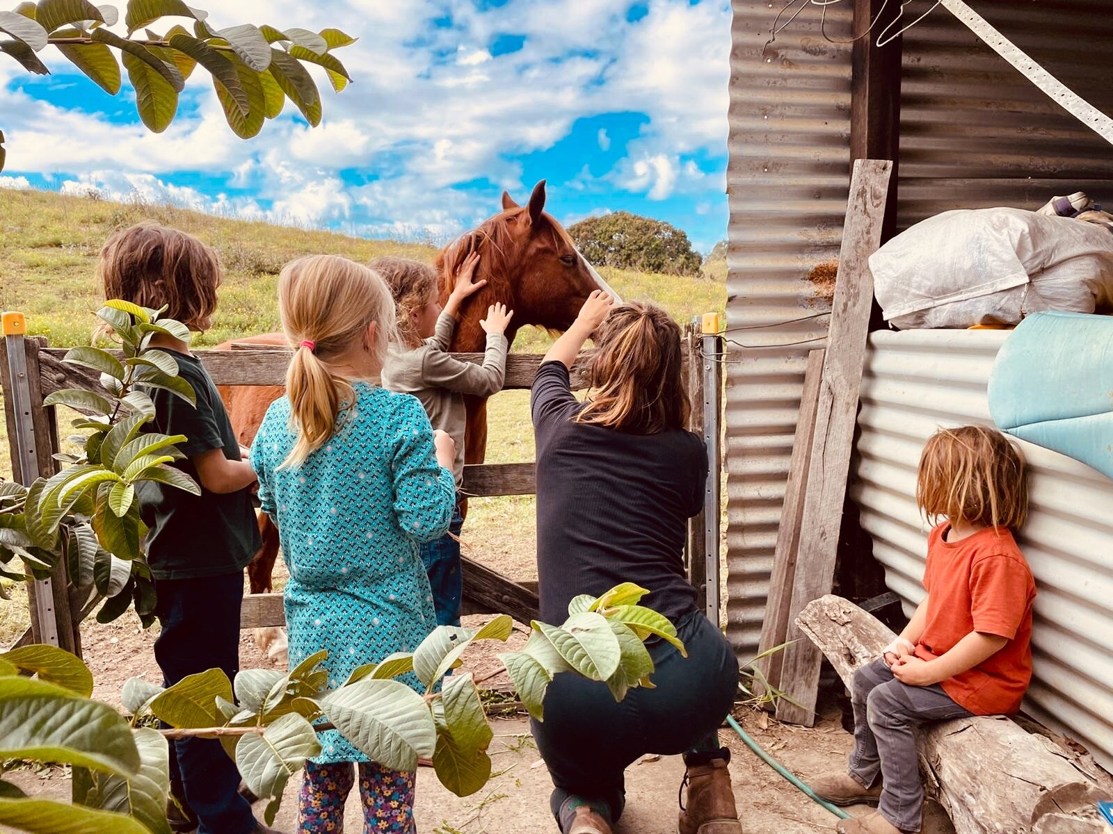 Breathwork meditation cacao ceremony mindfulness Love Connection loving kindness woman’s circle sacred sisters one with nature conscious Connections horse lover nature lover 43227.JPG