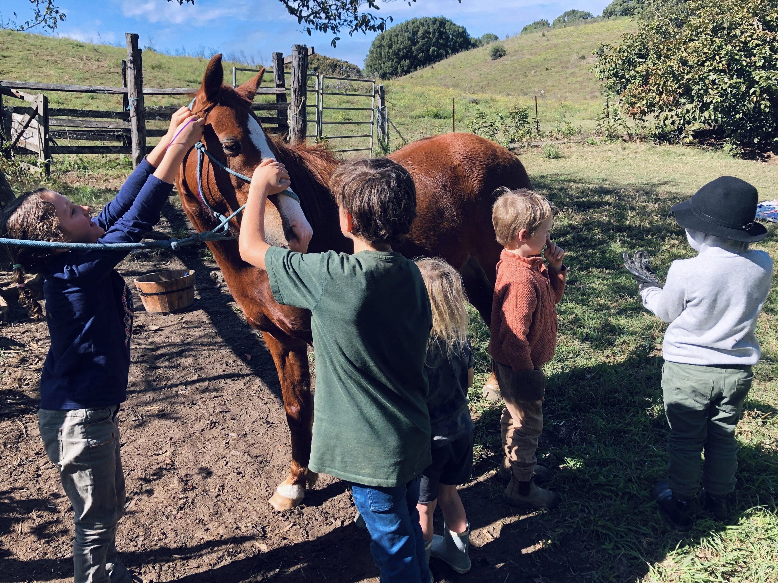 Breathwork meditation cacao ceremony mindfulness Love Connection loving kindness woman’s circle sacred sisters one with nature conscious Connections horse lover nature lover 899.jpg