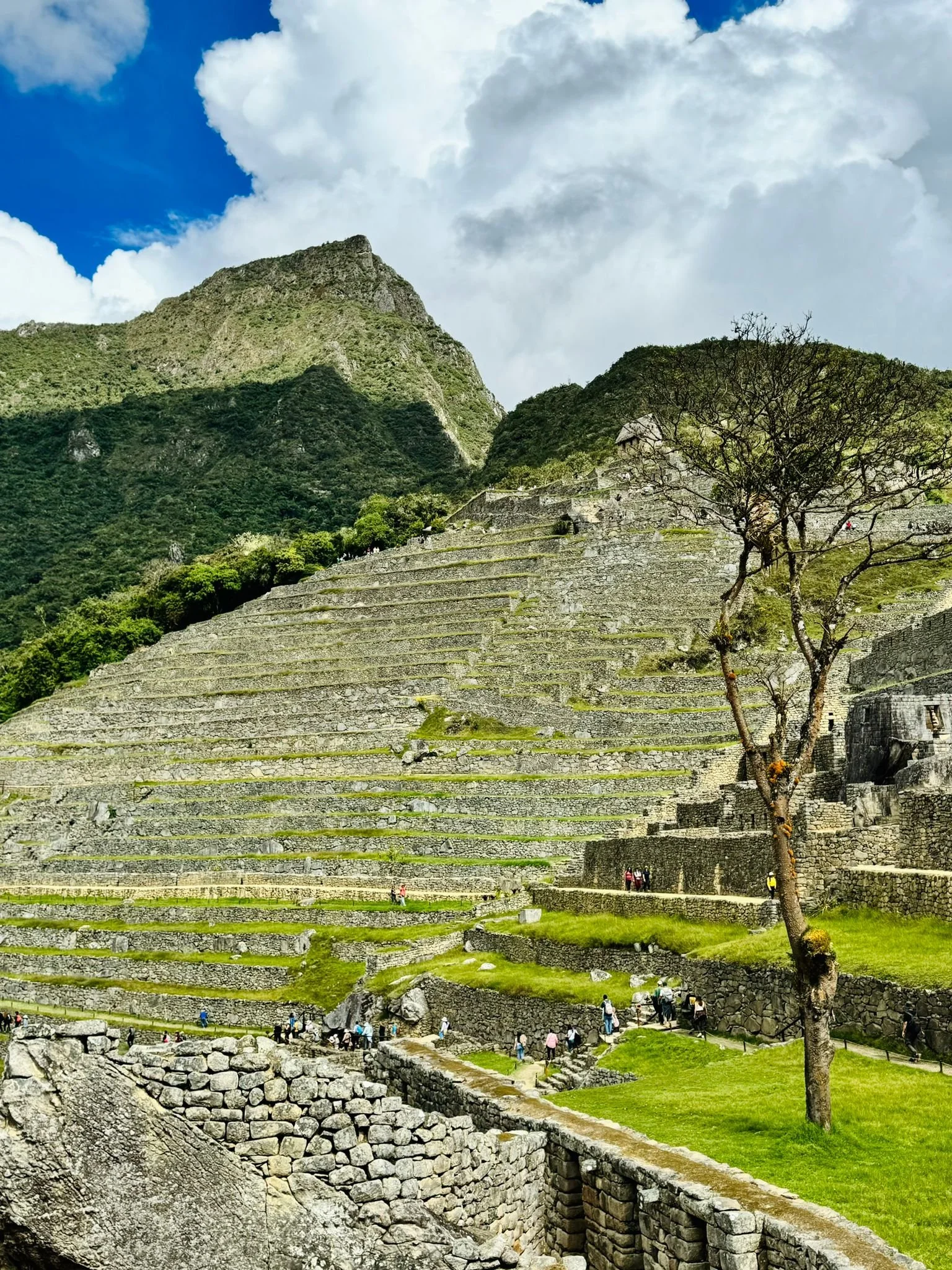 WhatsApp Image 2024-10-07 at 02.14.32.jpeg