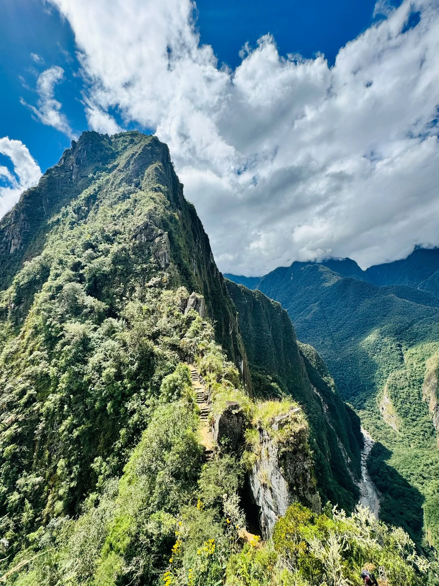 WhatsApp Image 2024-10-07 at 02.14.38 (2).jpeg