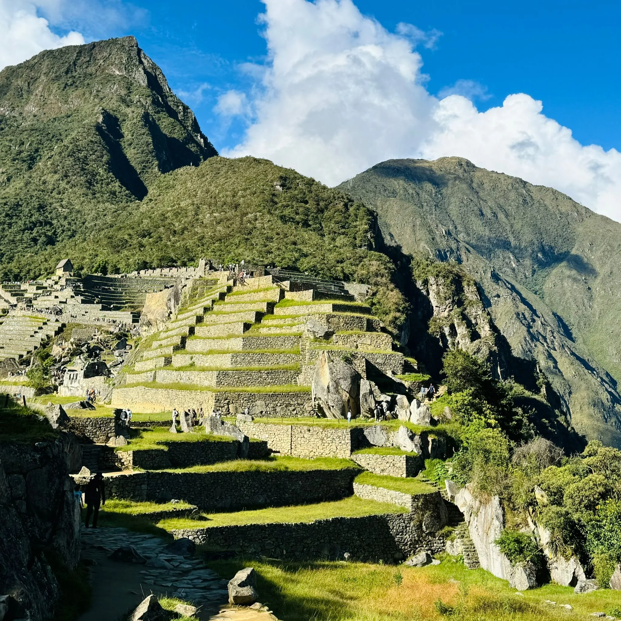 WhatsApp Image 2024-10-07 at 02.14.41.jpeg