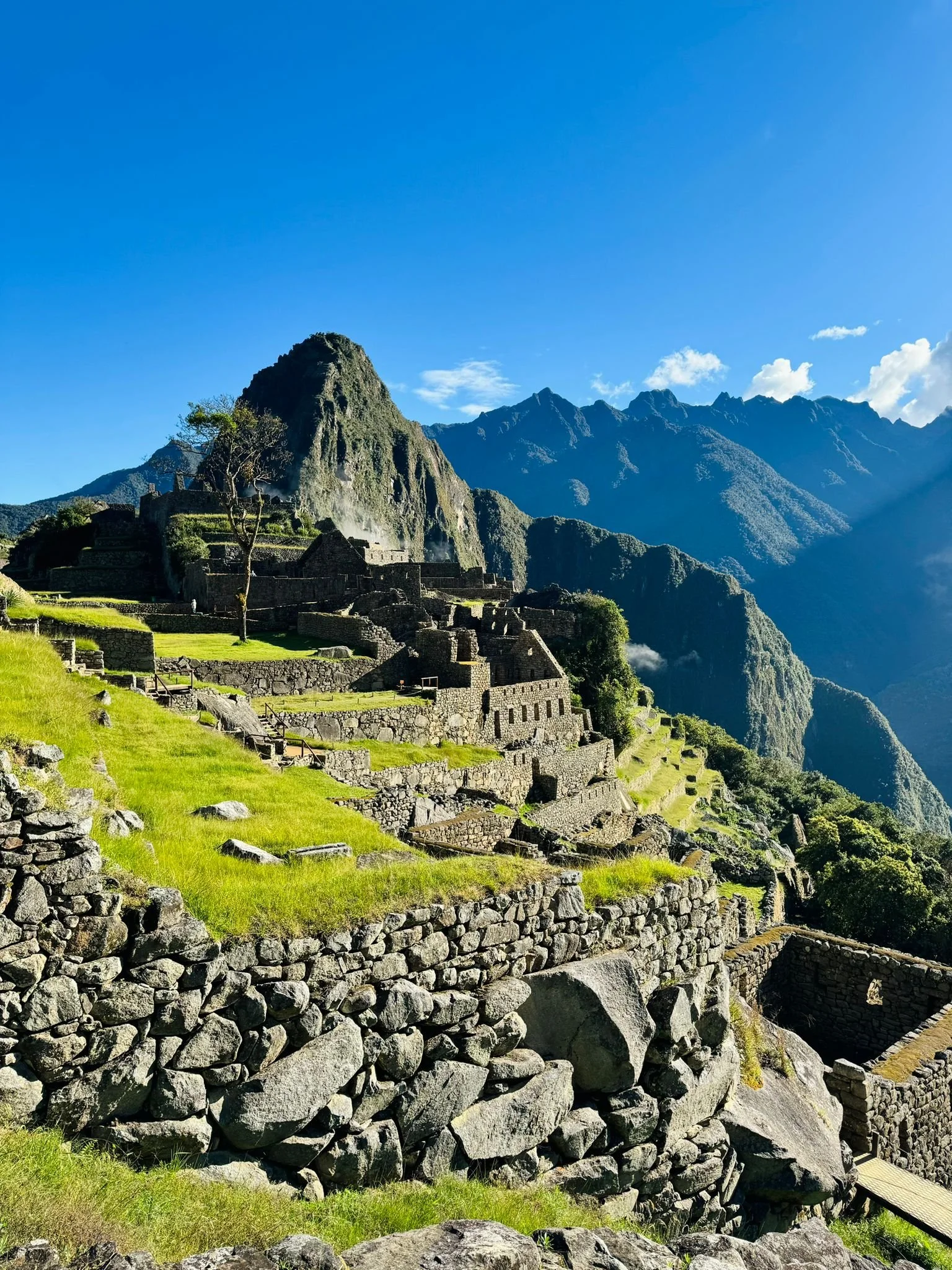 WhatsApp Image 2024-10-07 at 02.14.43 (2).jpeg