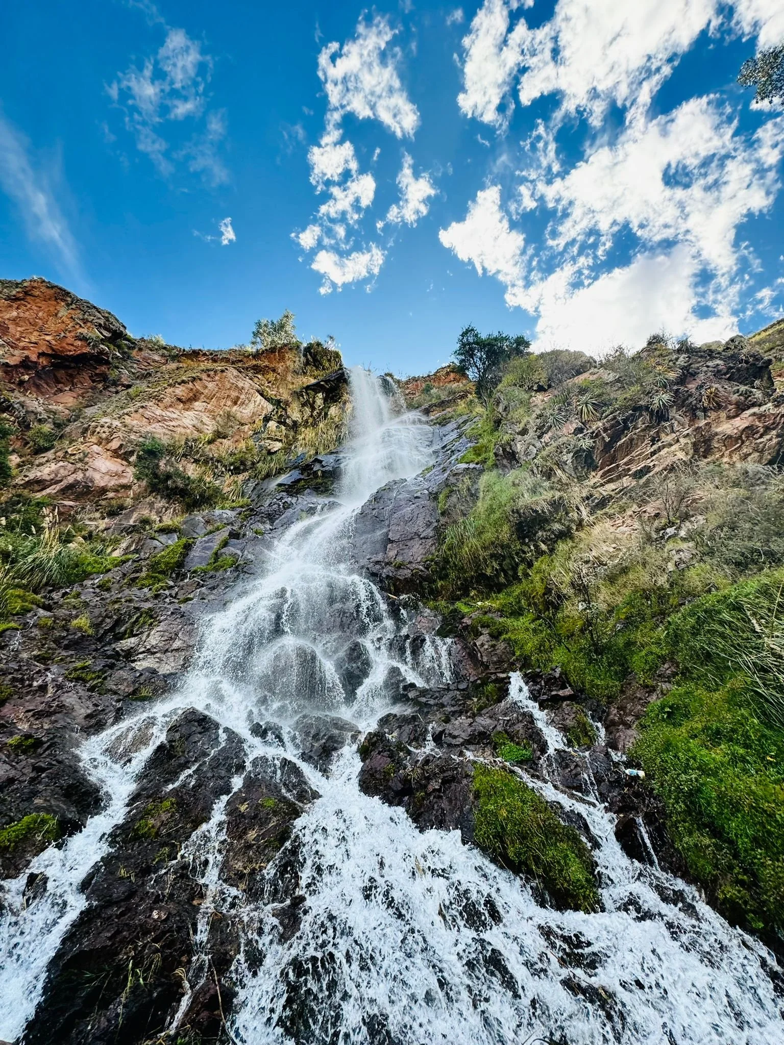 WhatsApp Image 2024-10-07 at 02.14.47 (2).jpeg