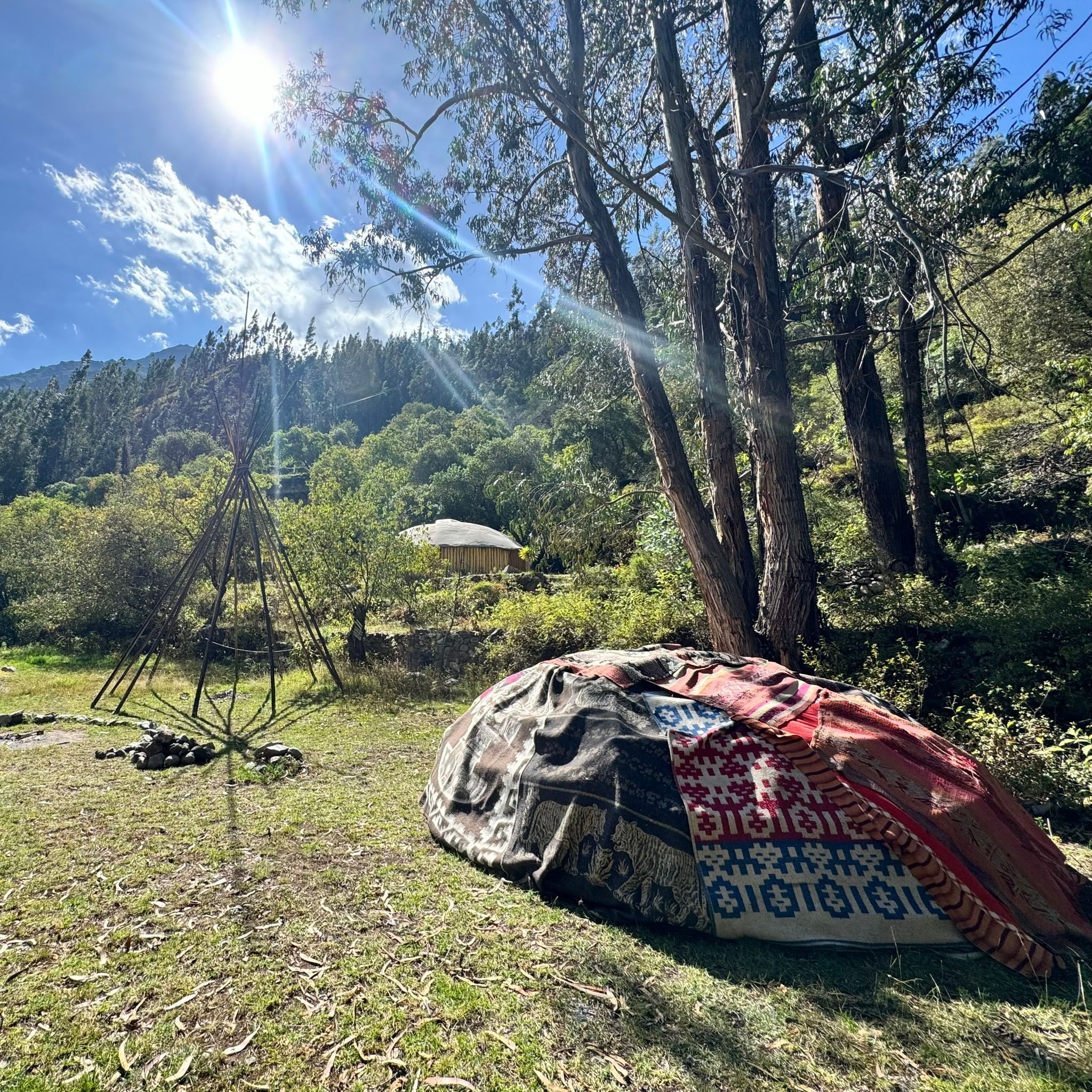 WhatsApp Image 2024-10-07 at 02.16.06 (1).jpeg