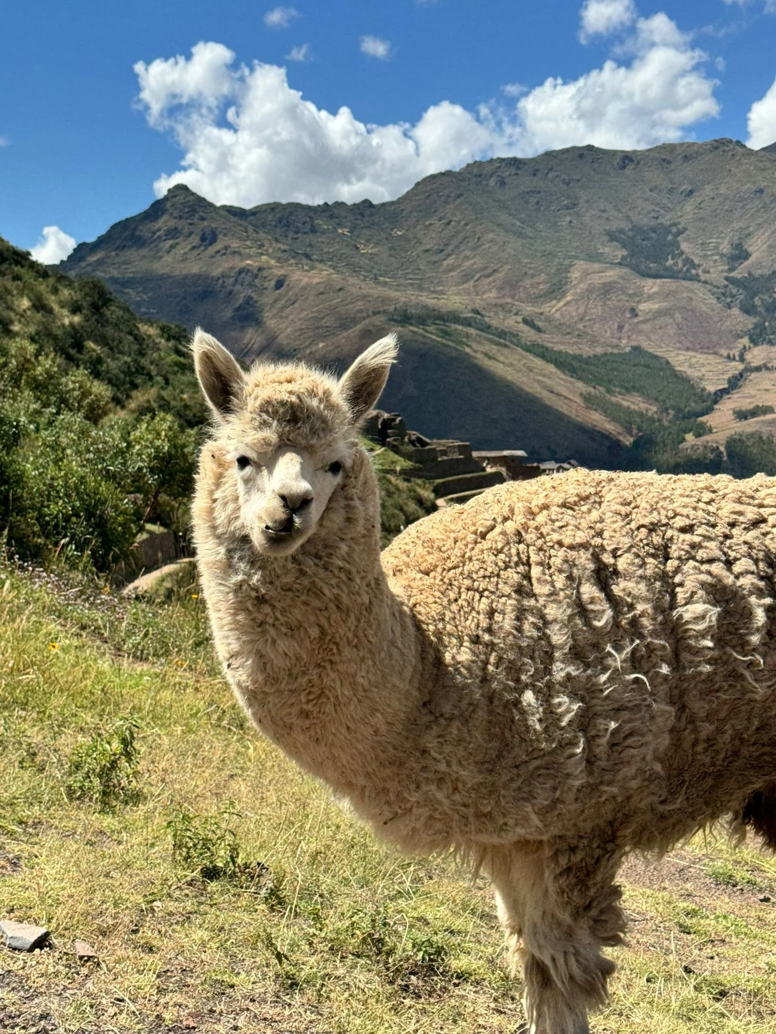 WhatsApp Image 2024-10-07 at 02.16.08 (2).jpeg