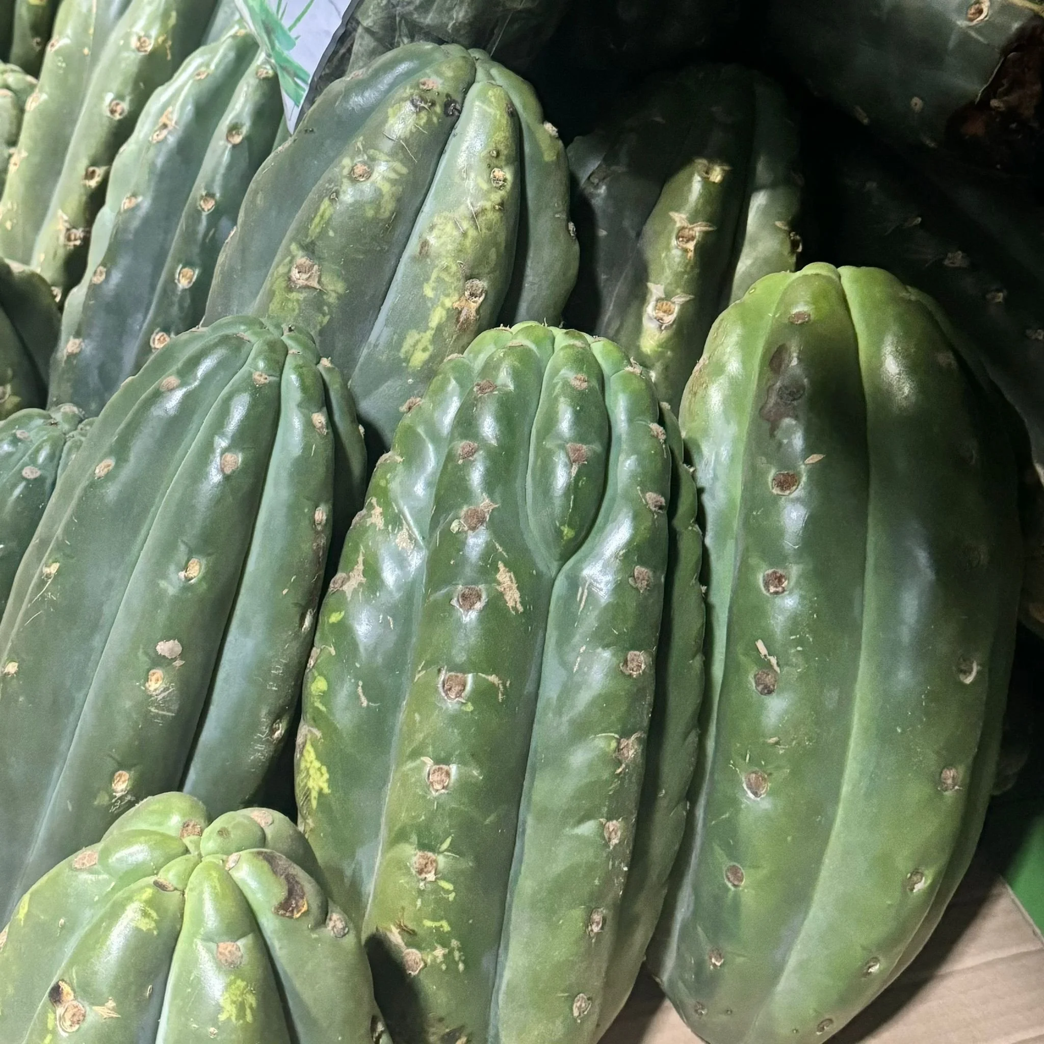 WhatsApp Image 2024-10-07 at 02.16.09 (2).jpeg