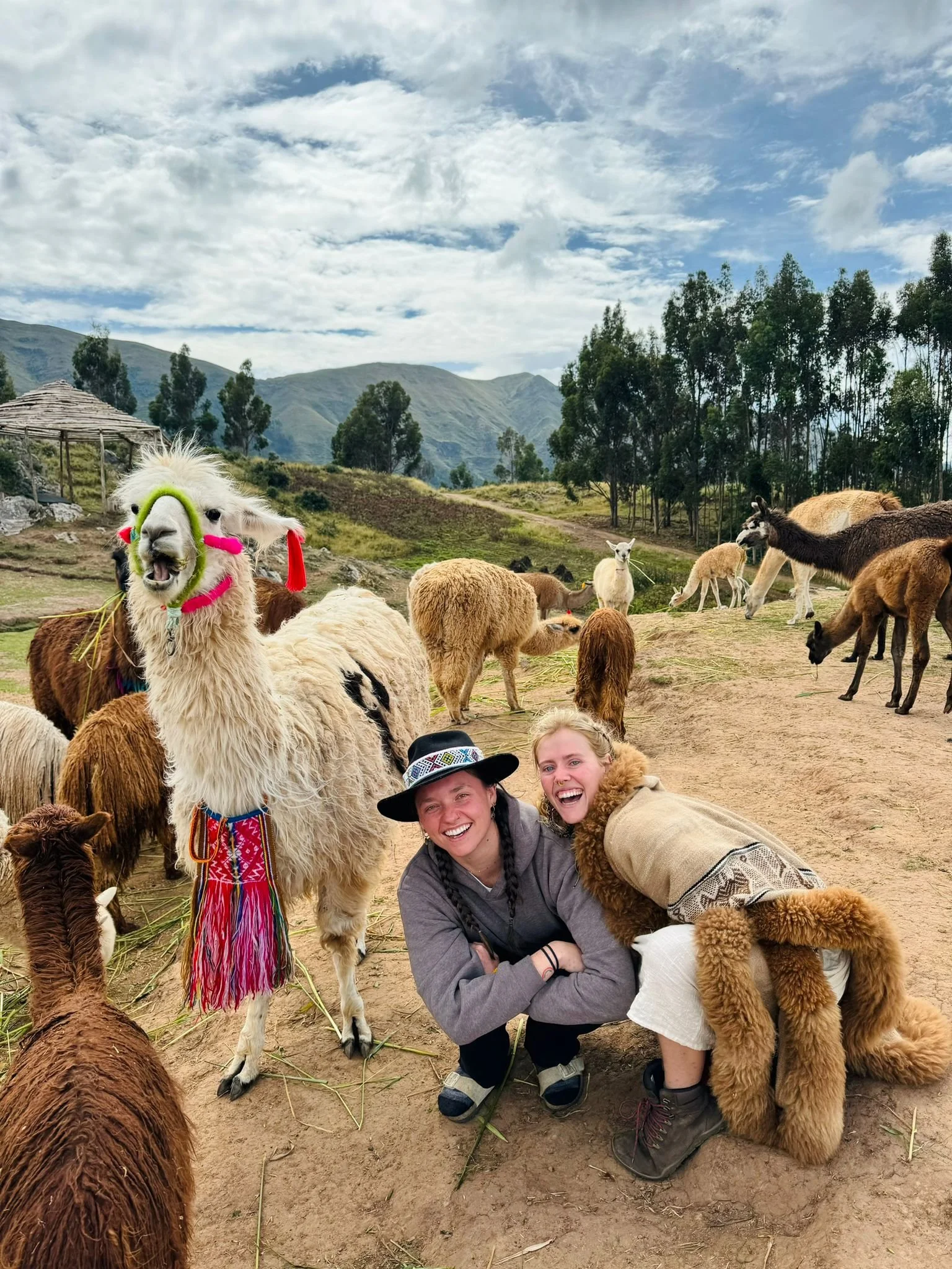 WhatsApp Image 2024-10-07 at 02.16.09.jpeg