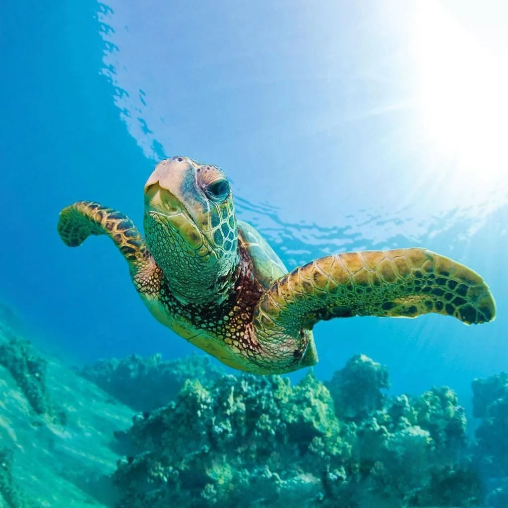 WhatsApp Image 2024-10-06 at 23.57.38 (2).jpeg