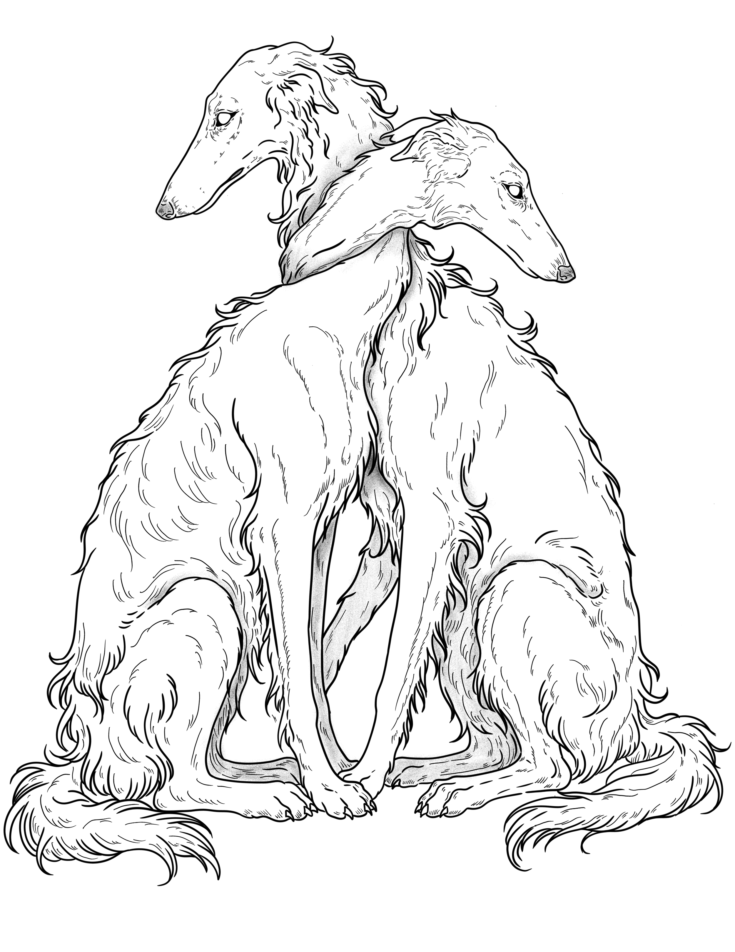IMG_1927.png