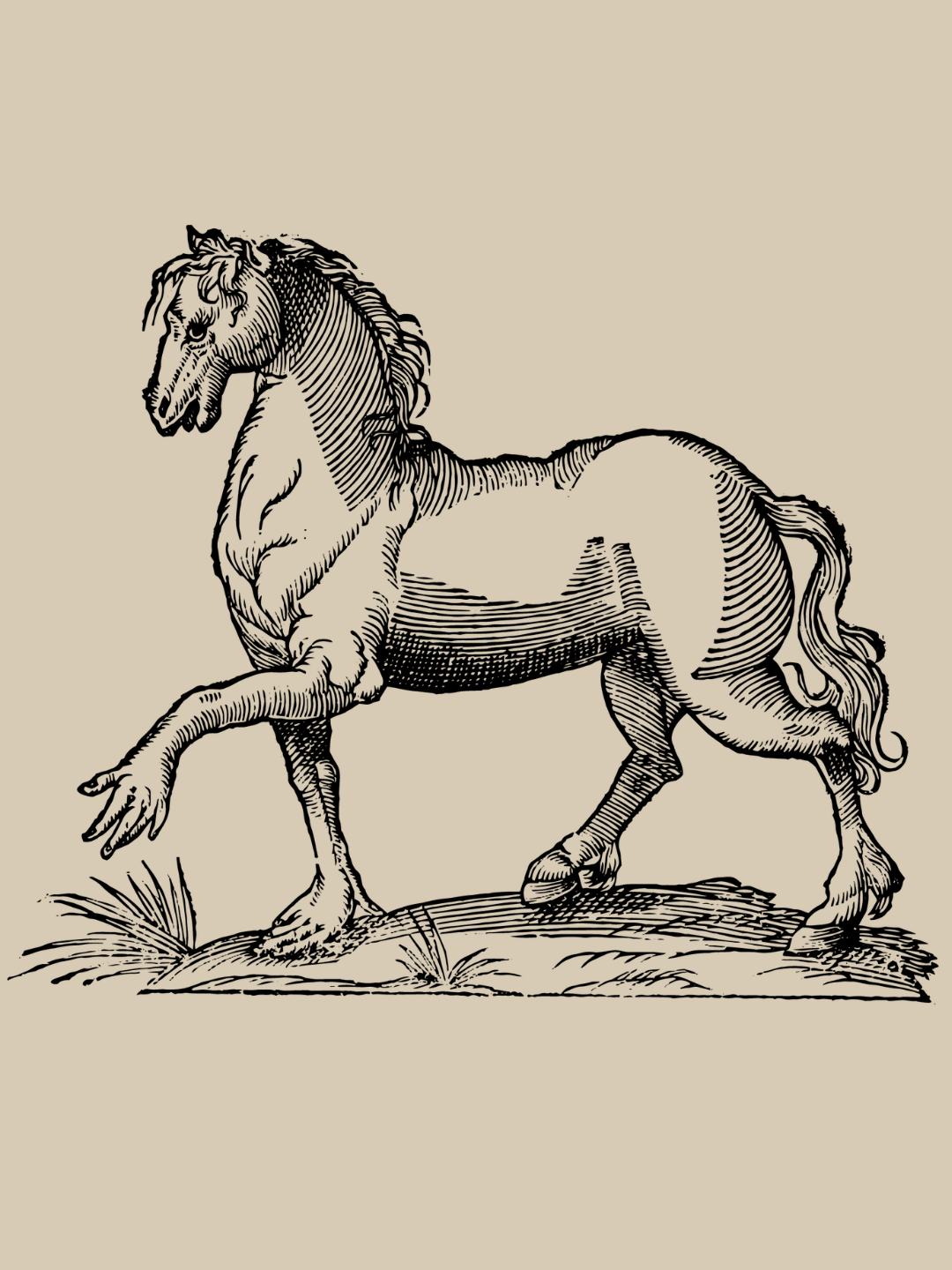 Horse with Human Hands