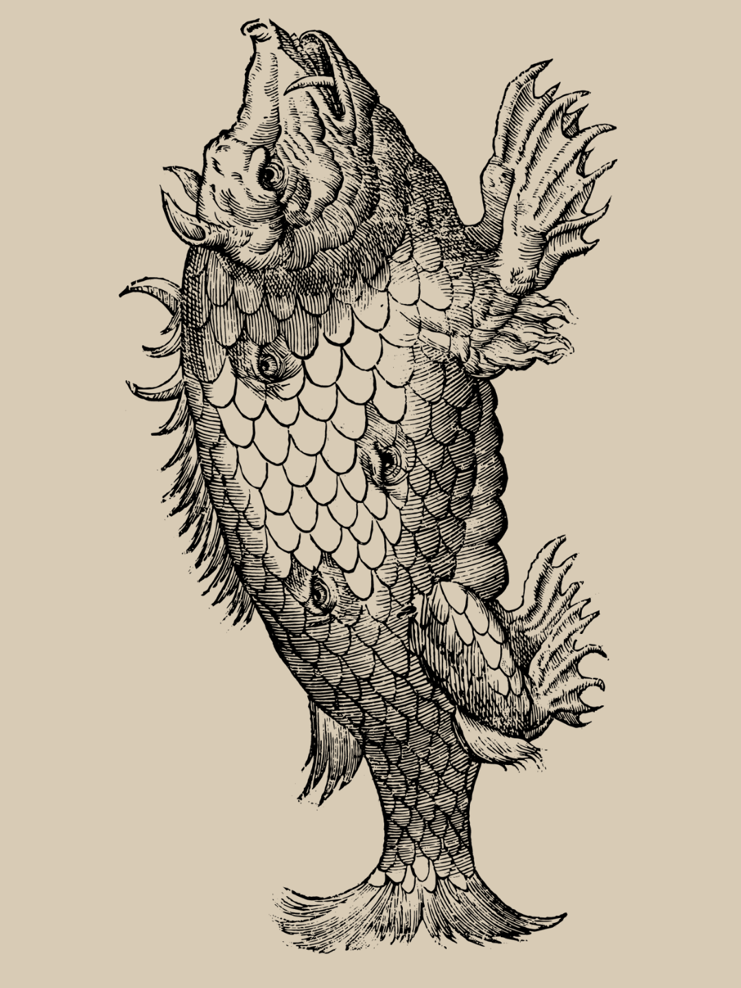 Monstrorum Historia,  Ulisse Aldrovandi