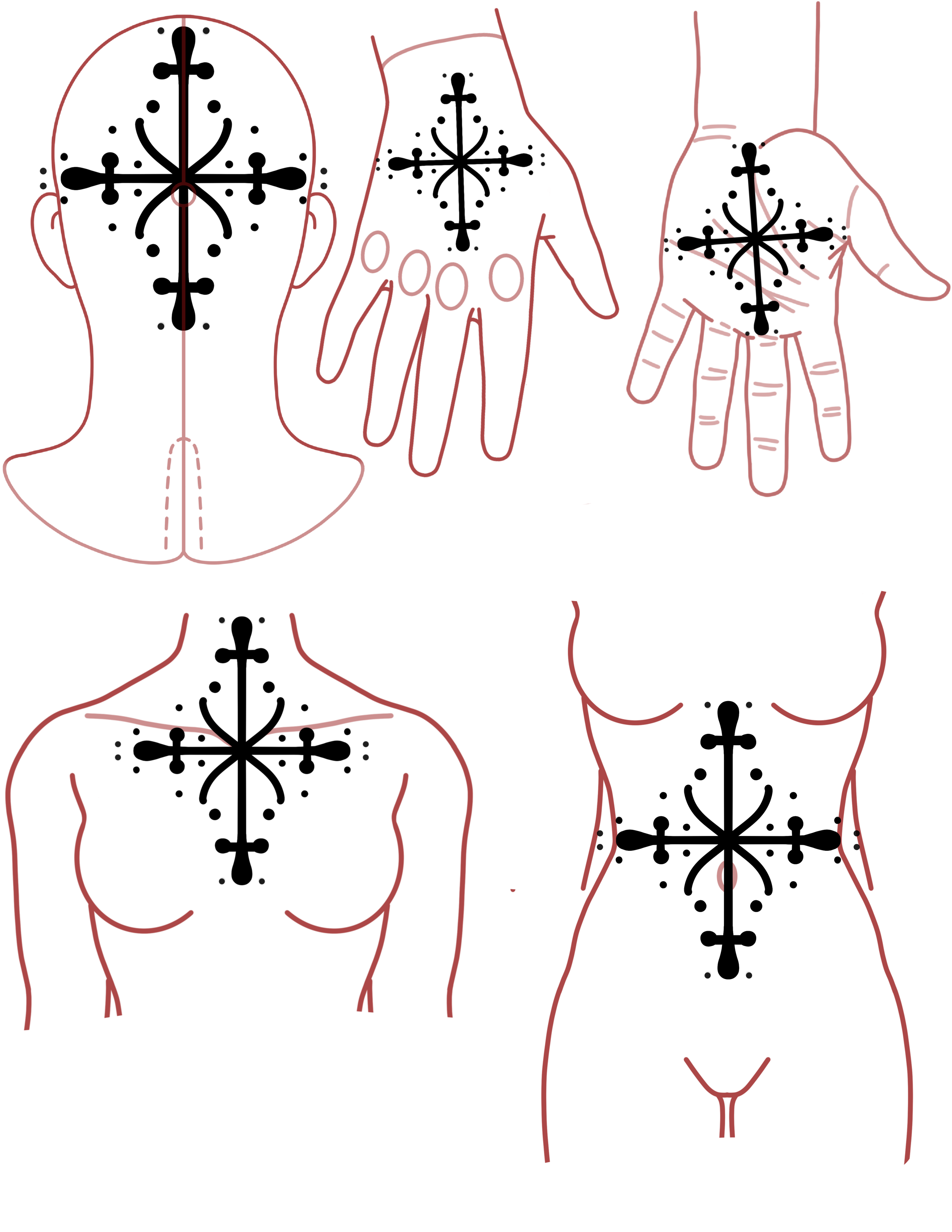 IMG_1935.png