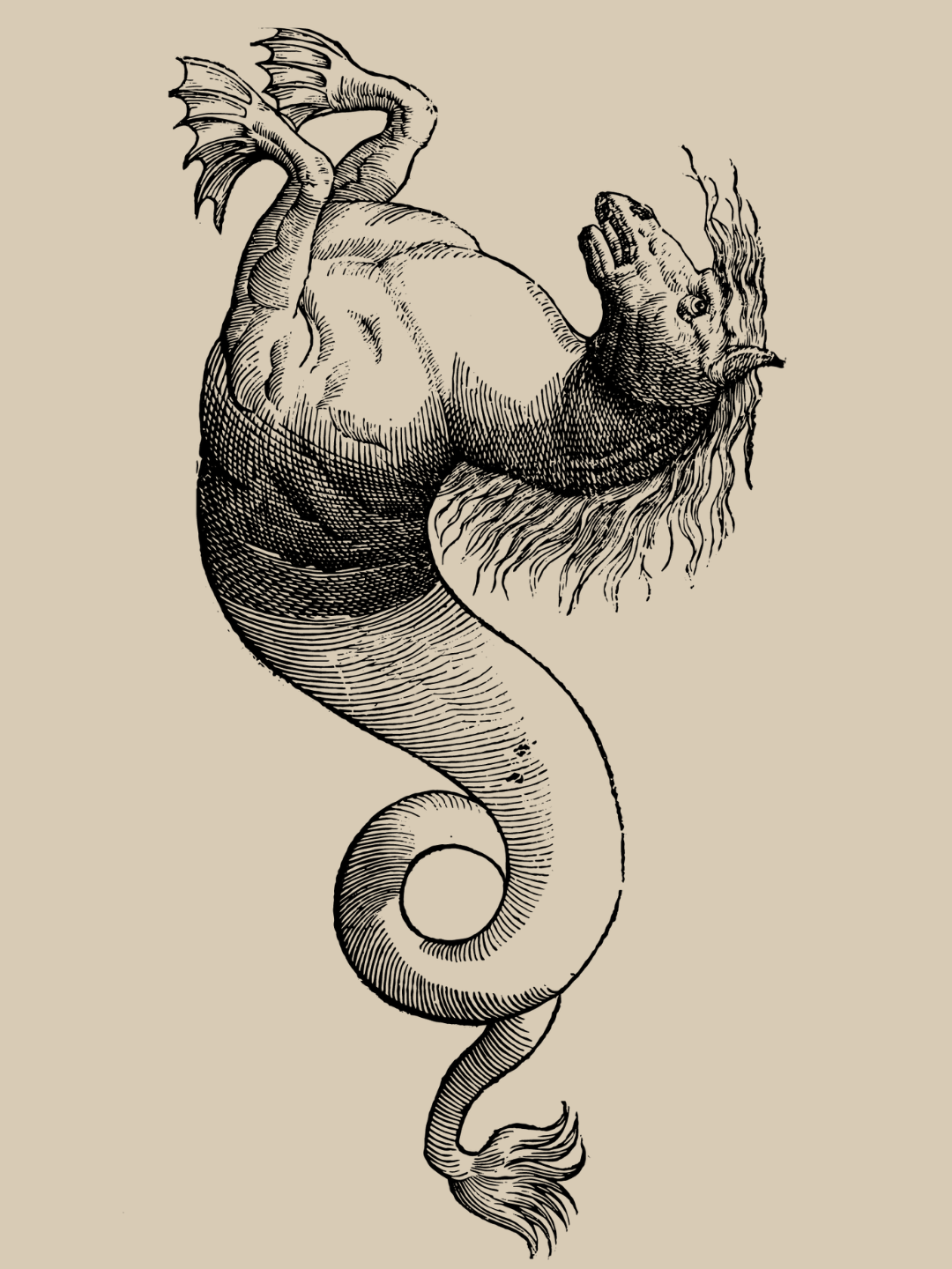 Seahorse Monster