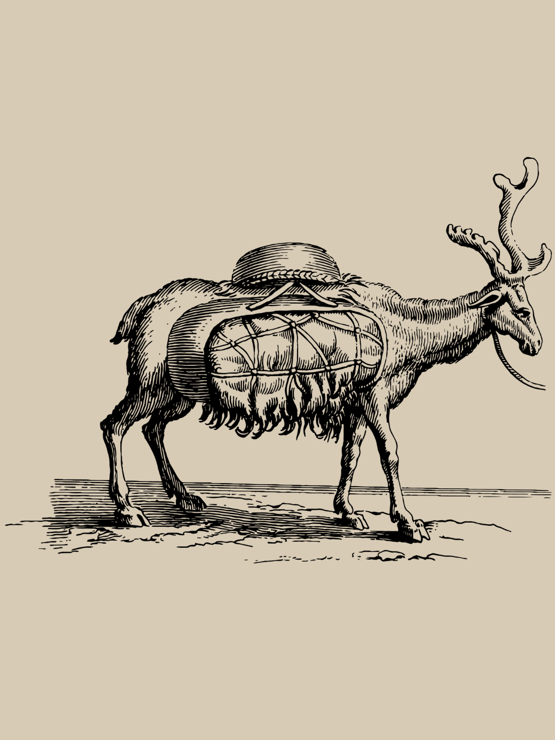 William Hogarth's History of Lapland