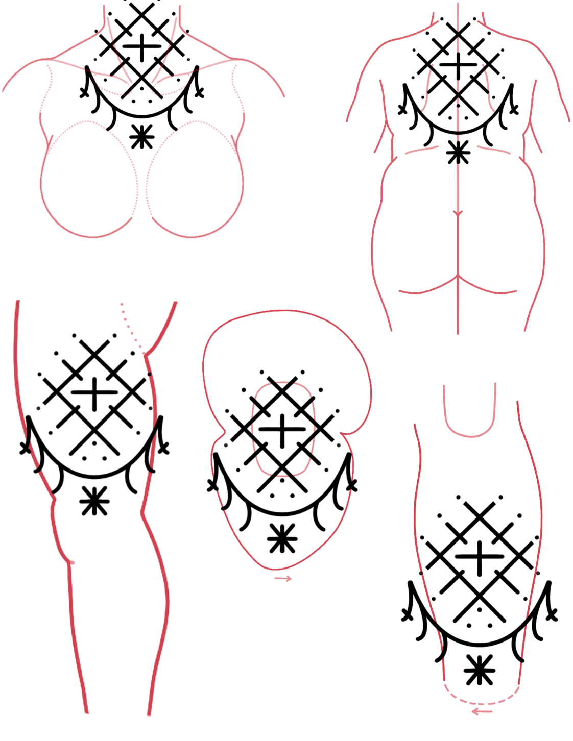 IMG_1921.png