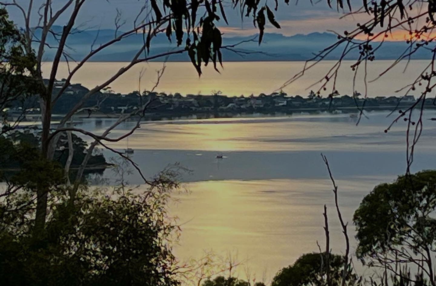 This morning on the lagoon a small boat floats as a dark spot in a glassy patch between  golden bands  of sunlight. 
#lifeontheridge
#noticing