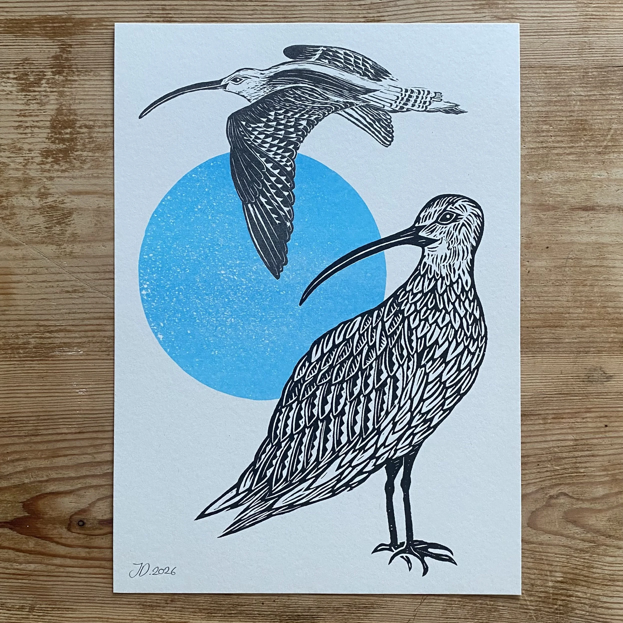 Curlews. Risograph/Linocut A4