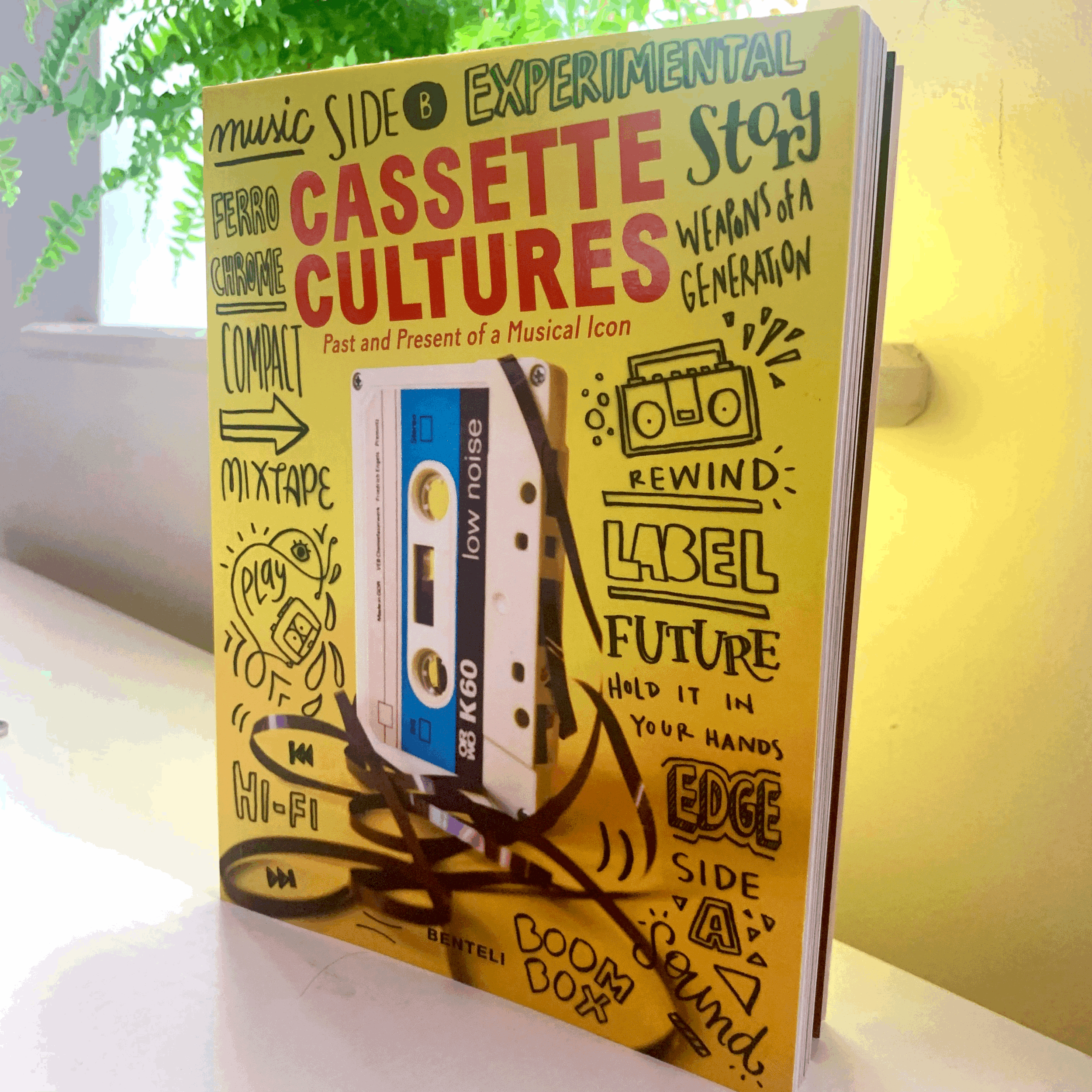 Cassette Culture: Past and Present of a Musical Icon (New Paperback Book)